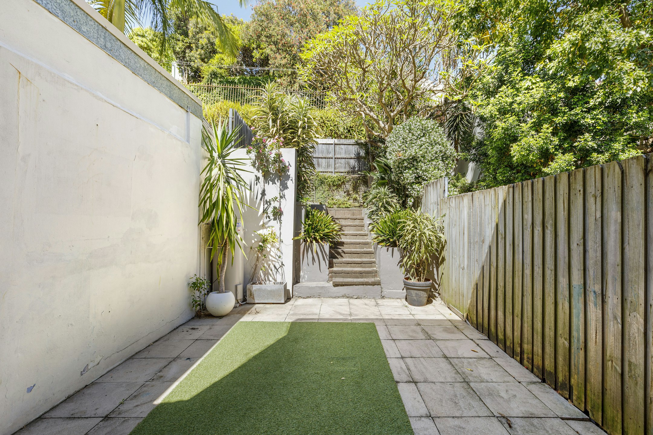 backyard