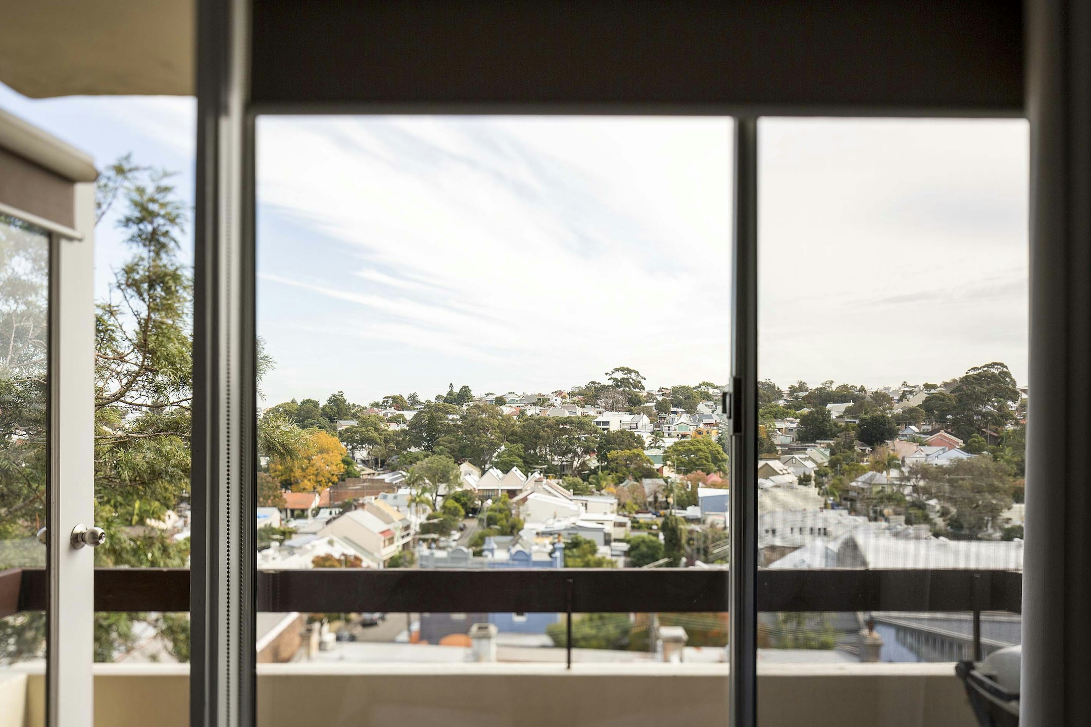 window