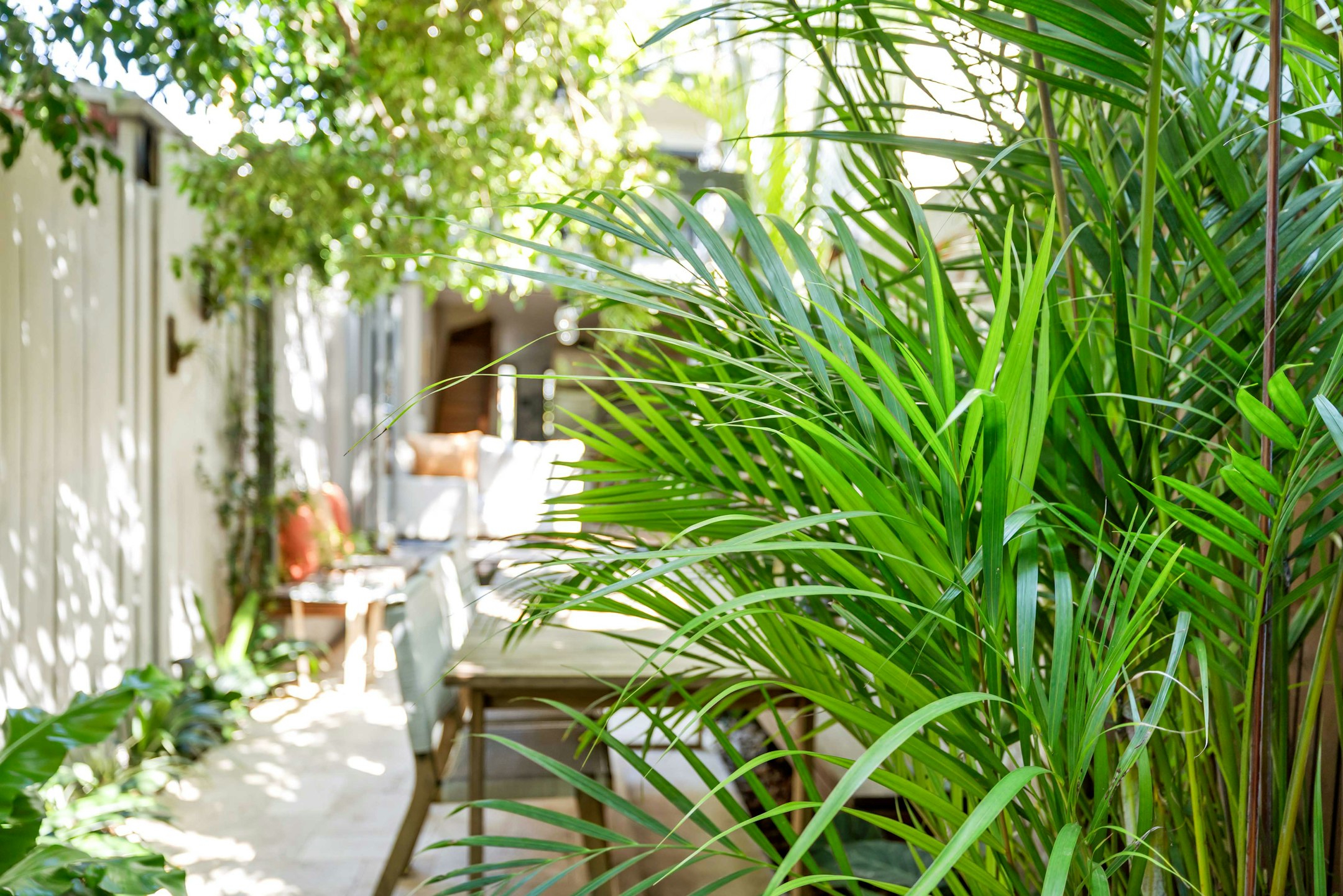 garden