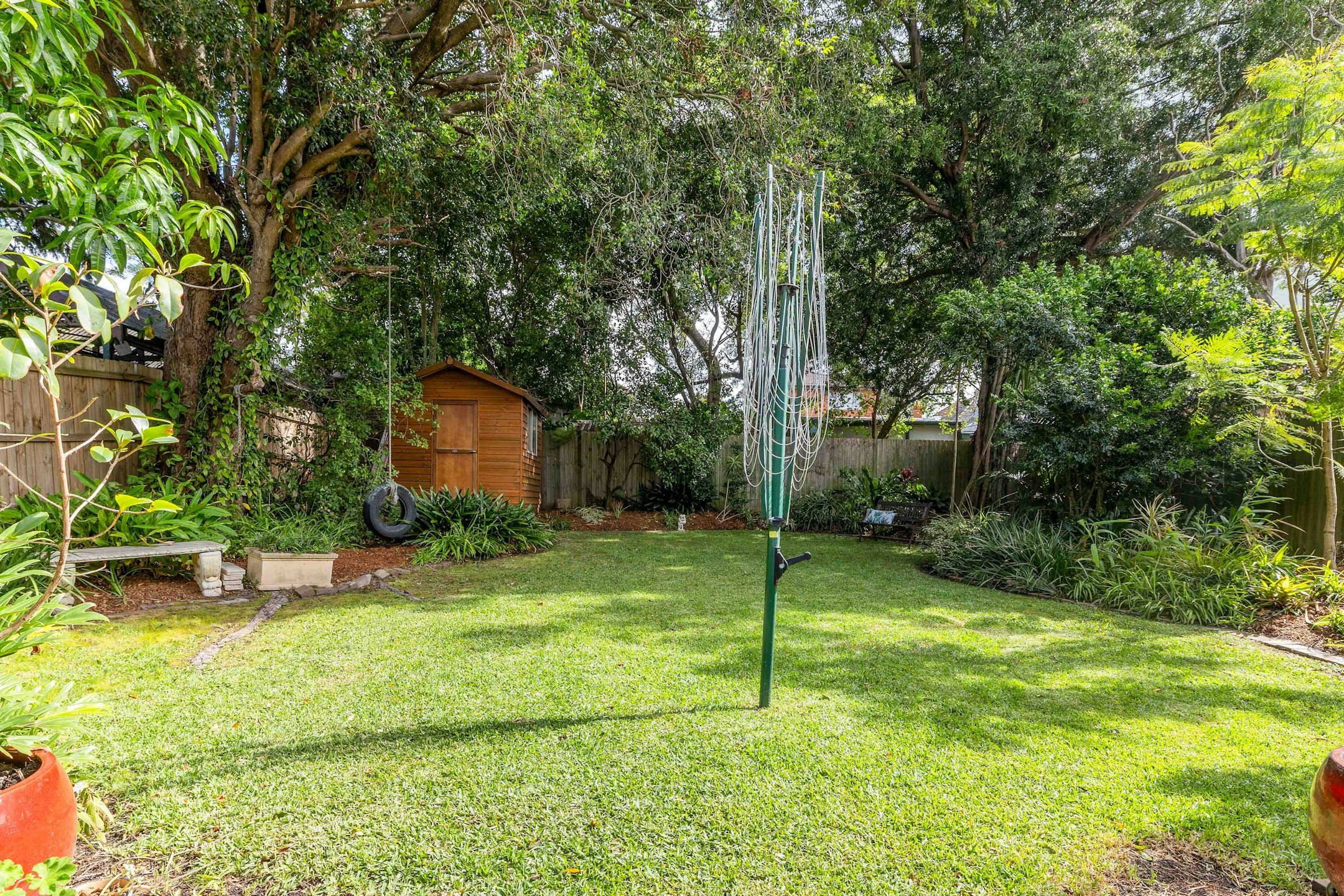 backyard
