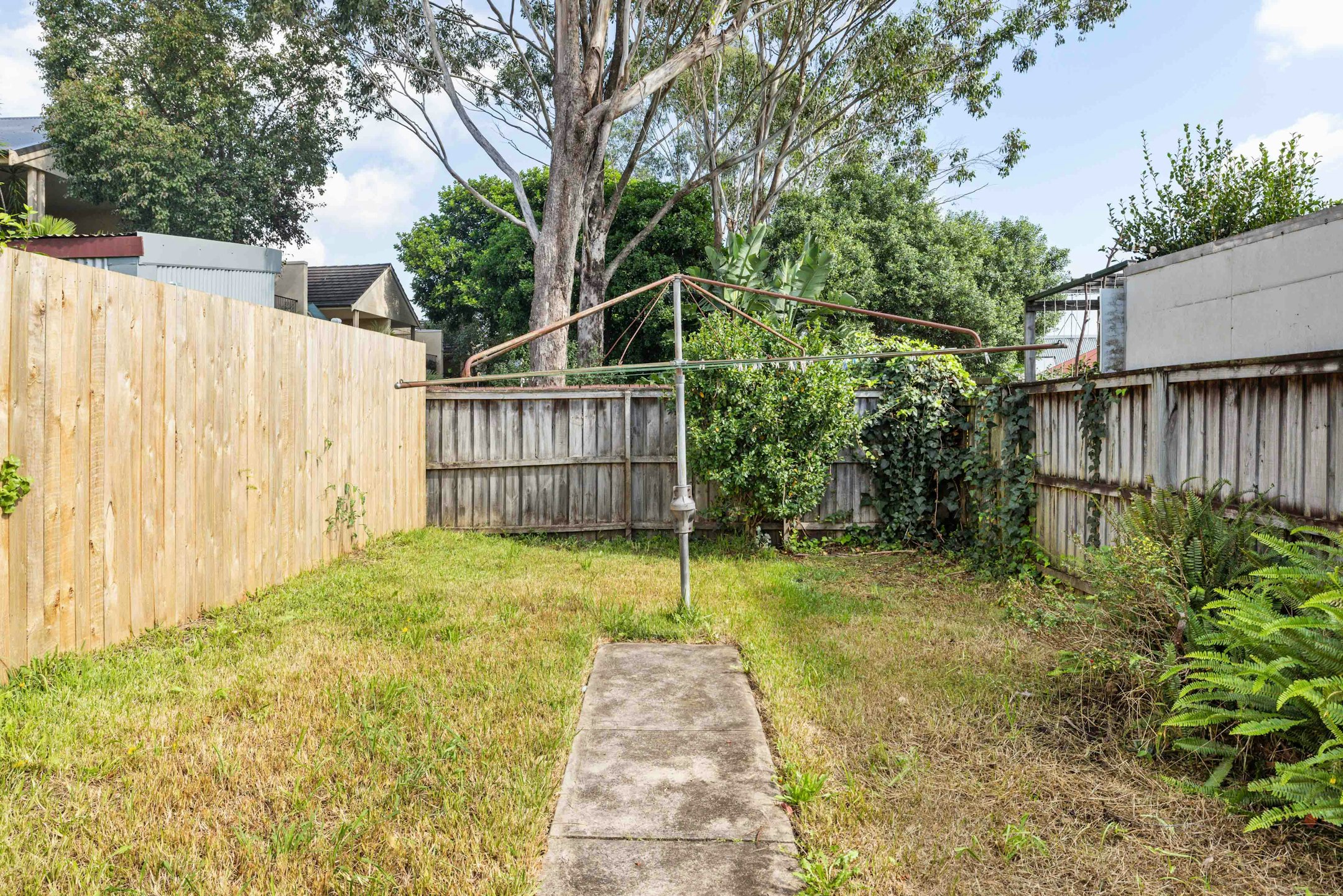 backyard