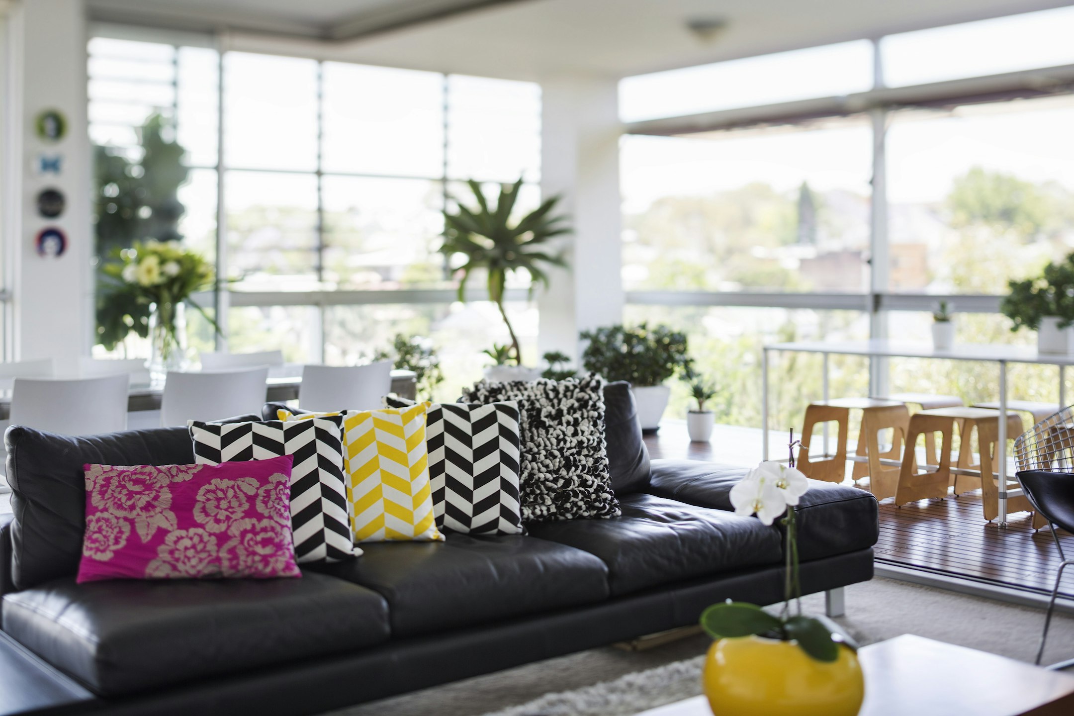 cushion
