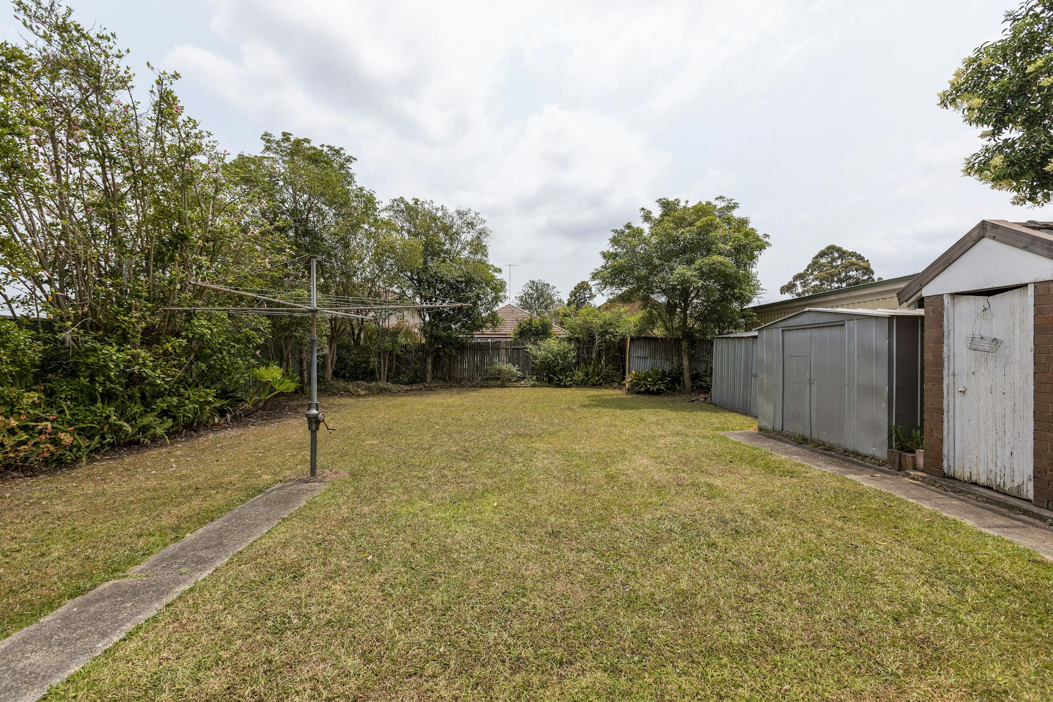 backyard