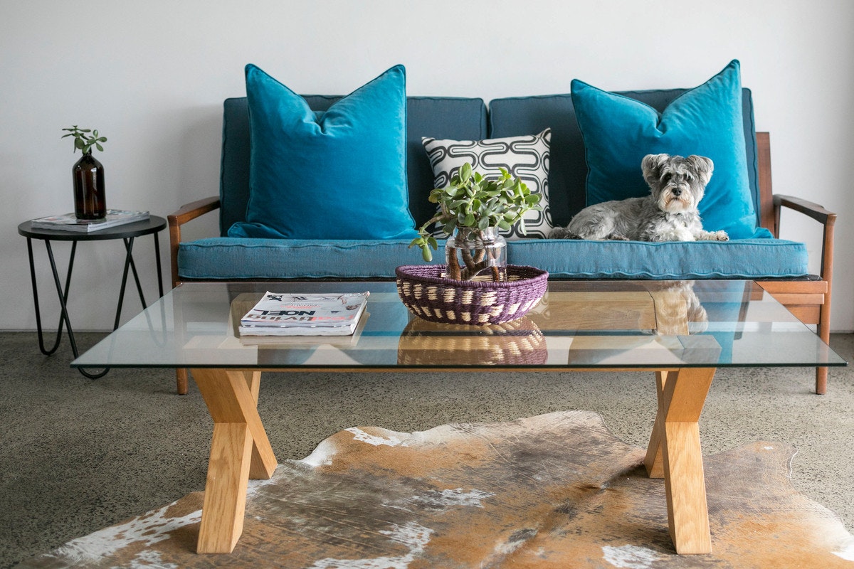 furniture