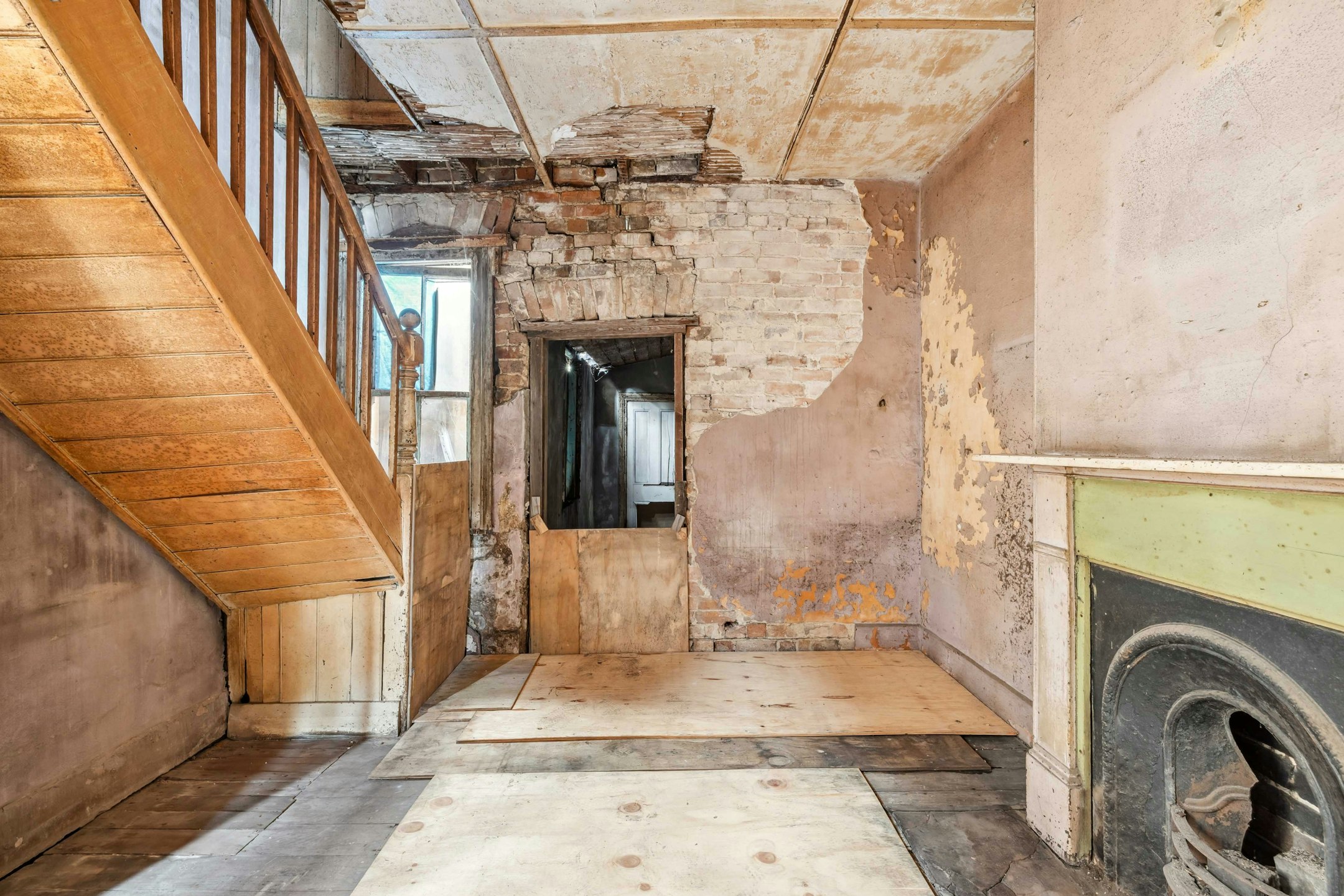 mold