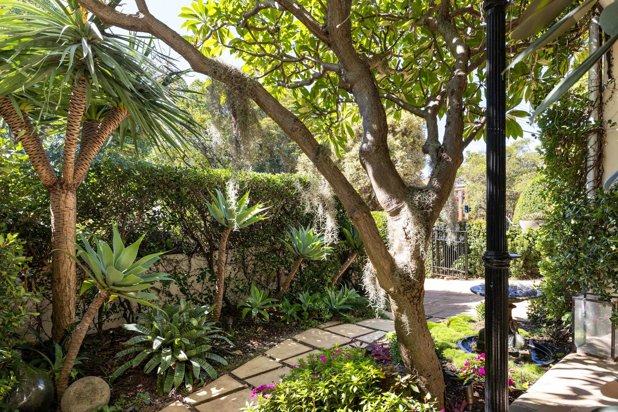 garden