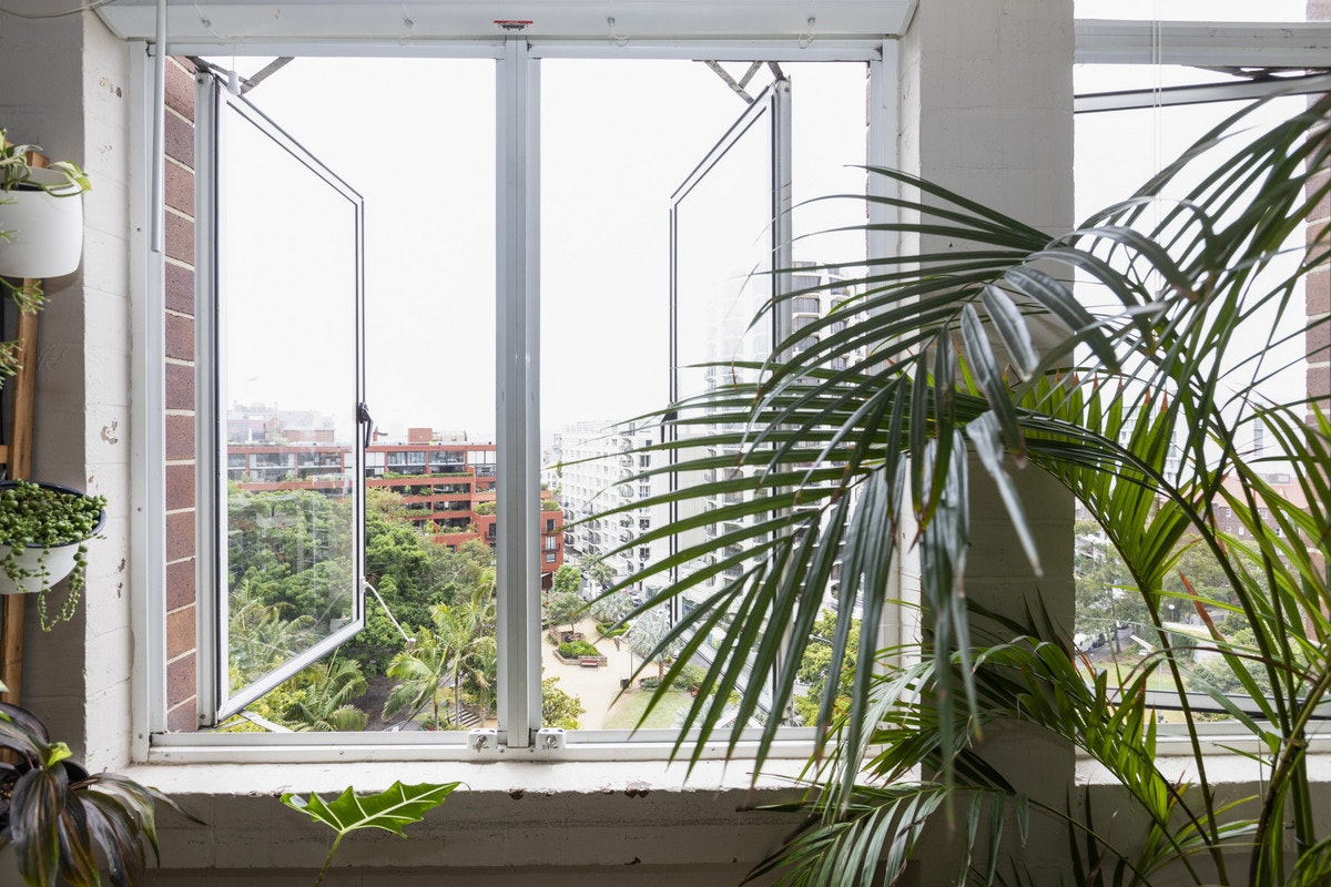 window