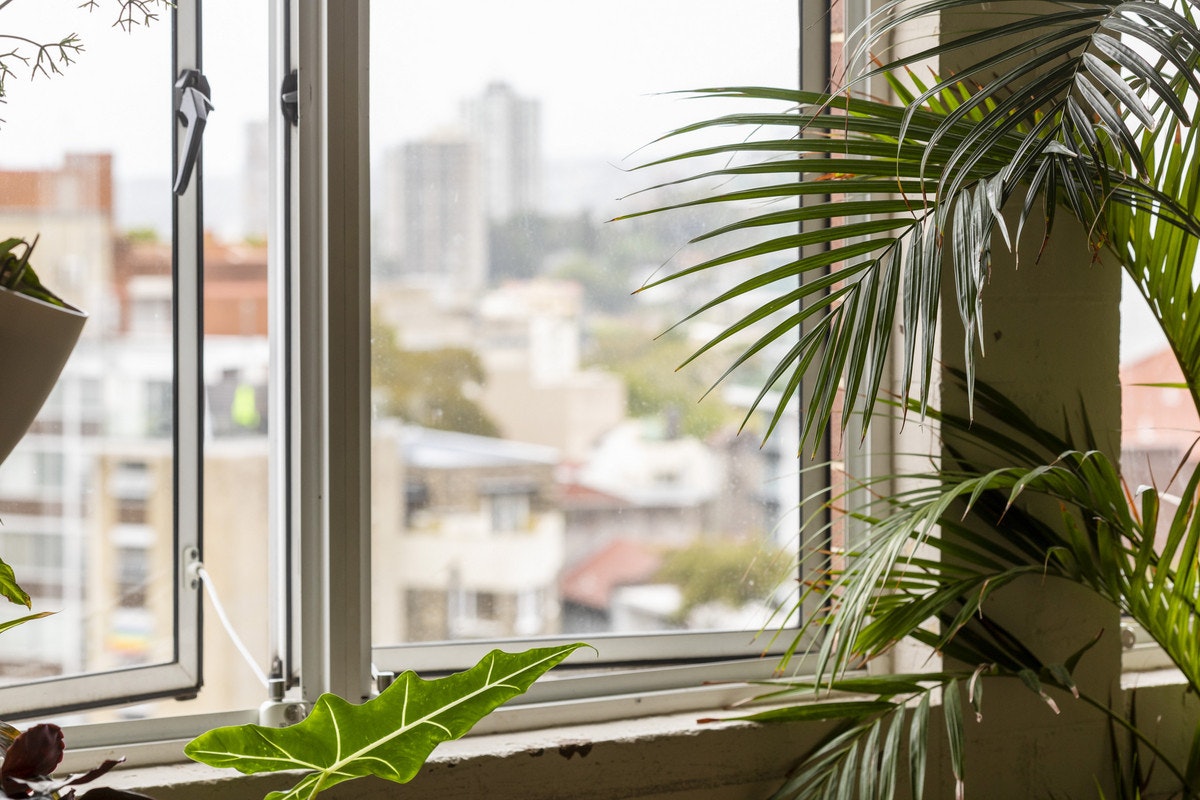 window