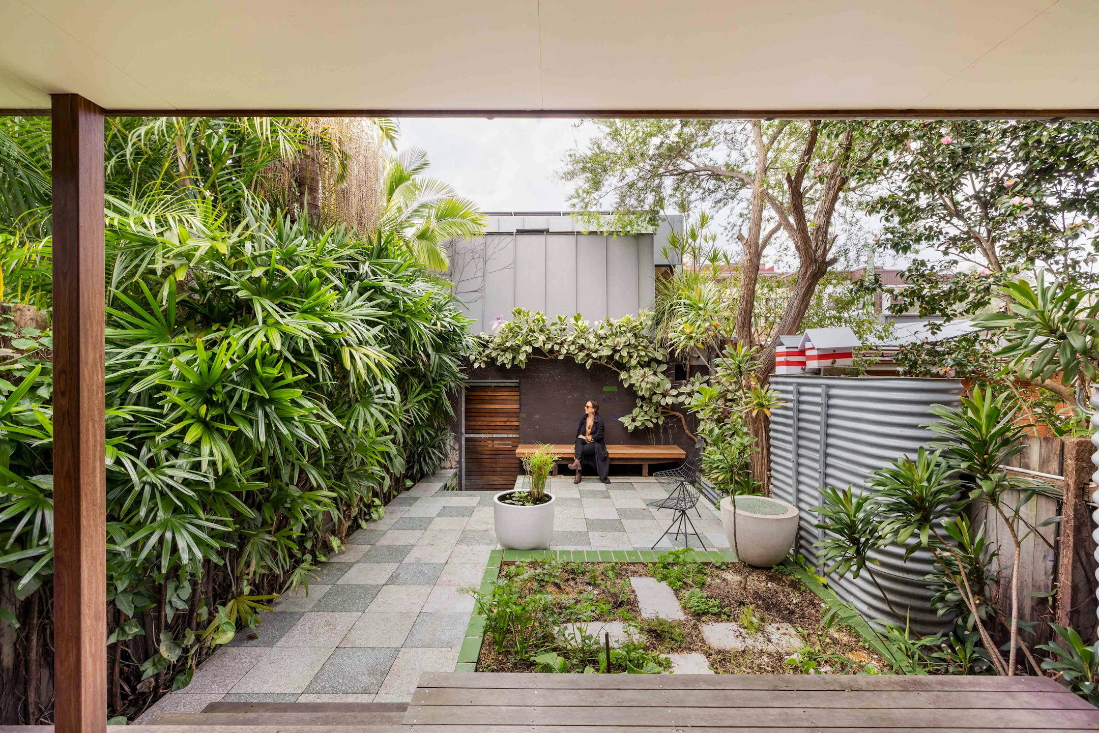 backyard