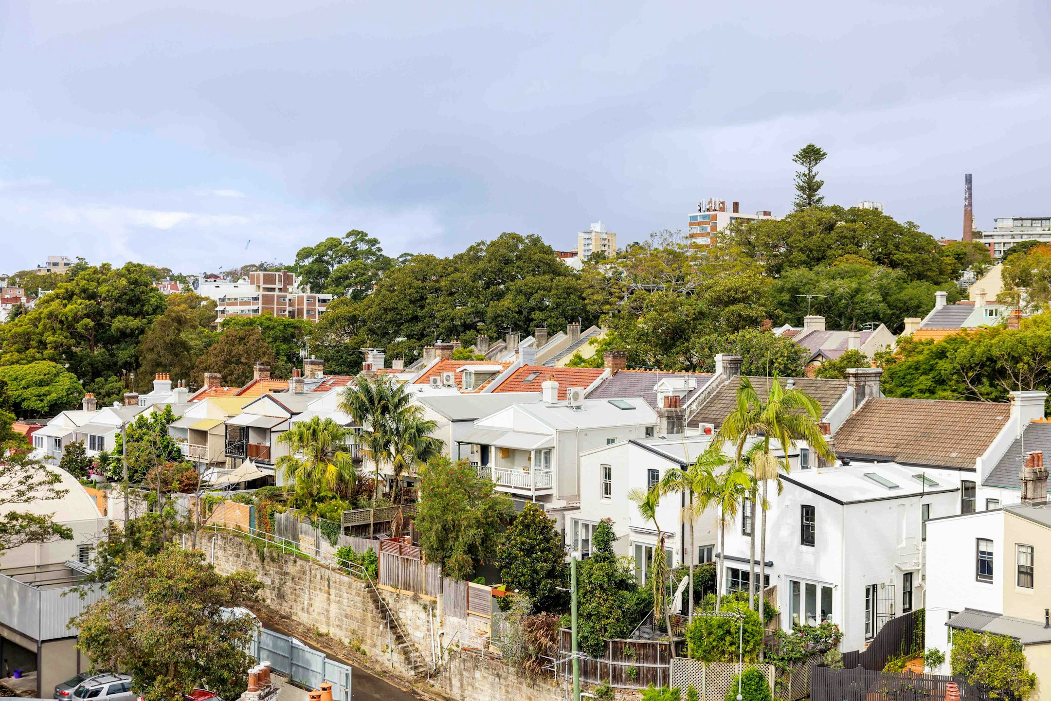 neighborhood
