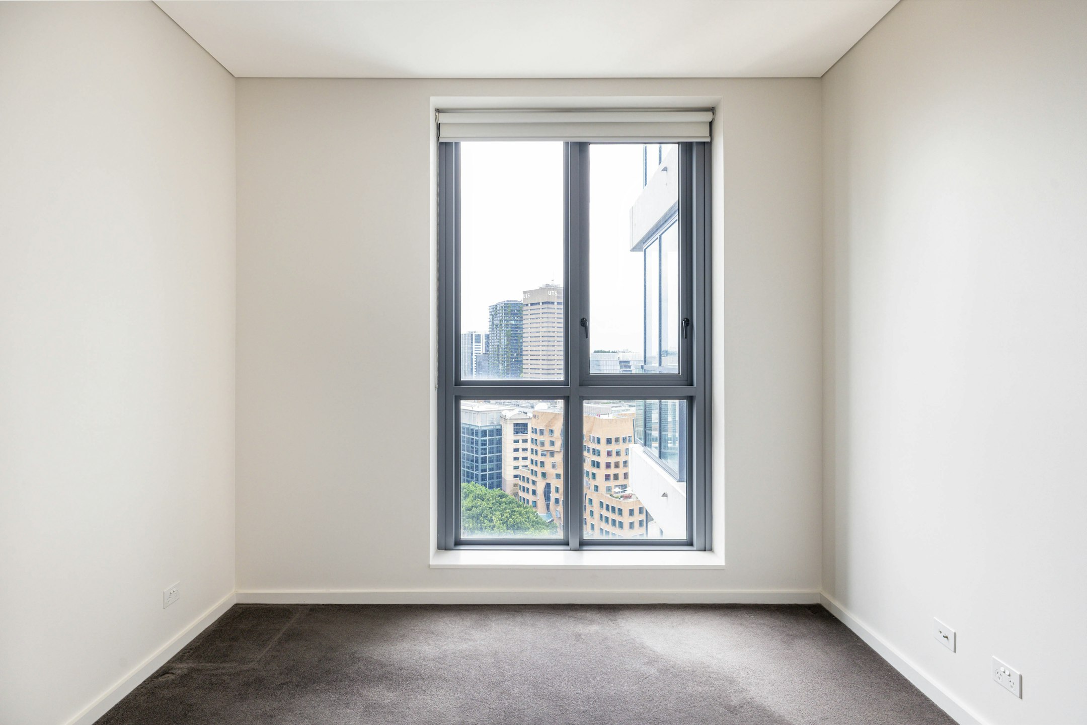 window