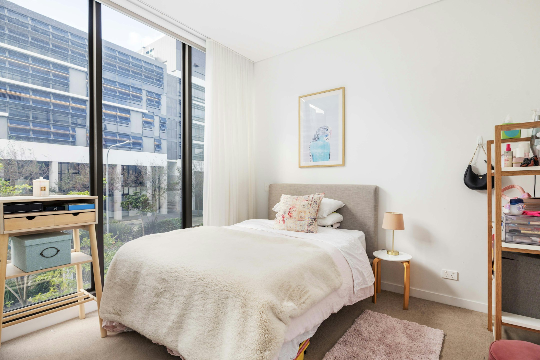 bed