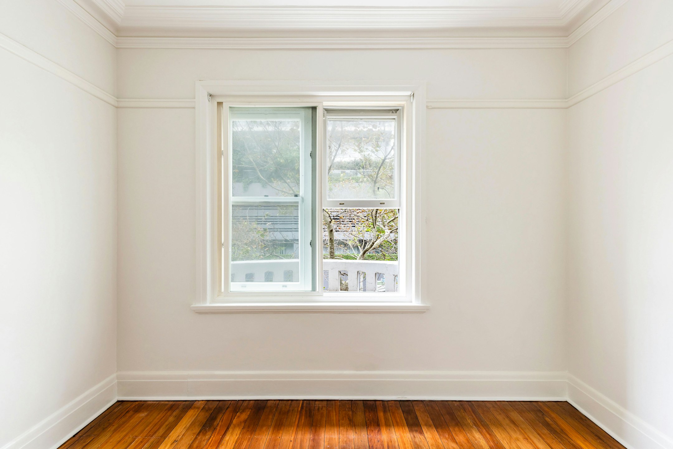 window