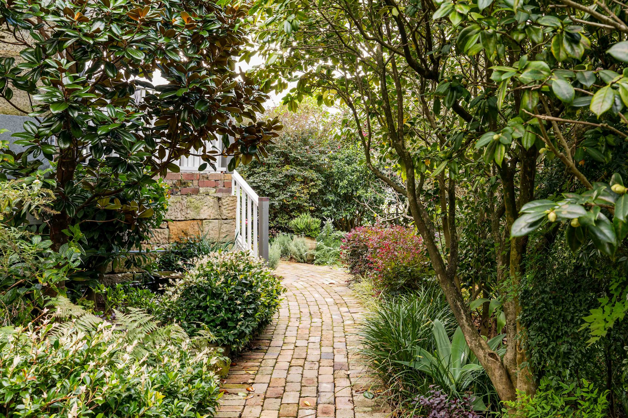 garden