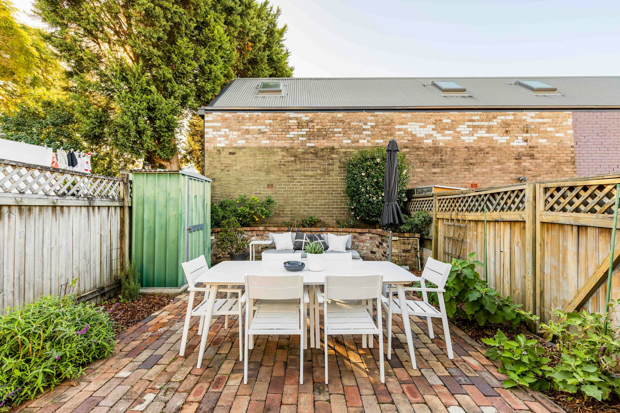 backyard