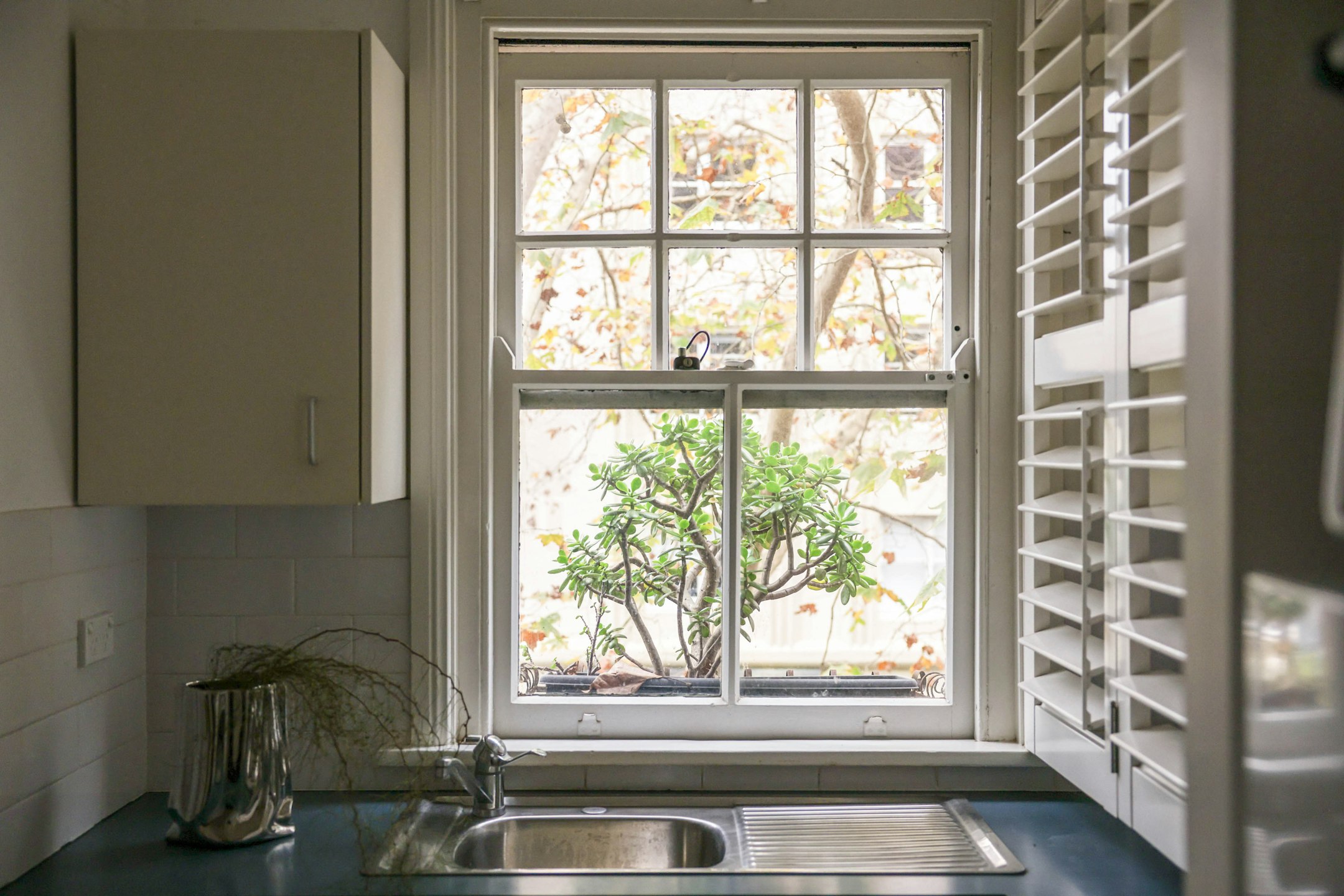 picture window