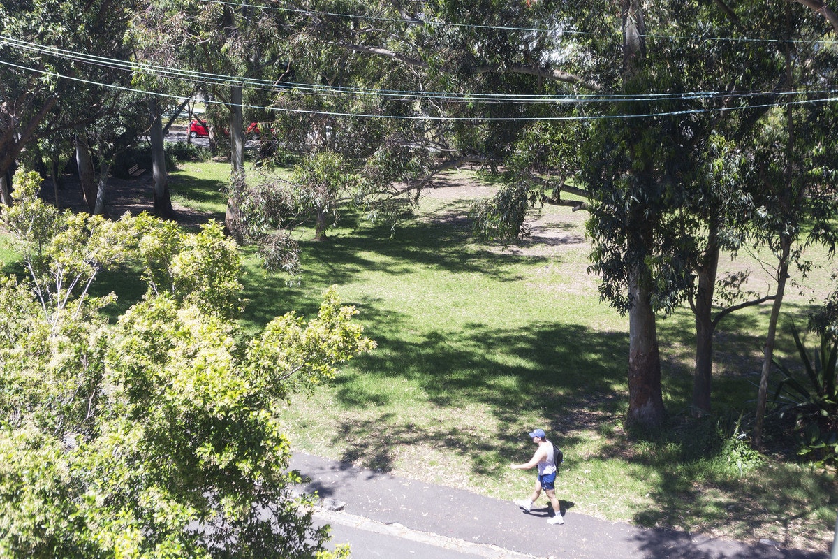 vegetation