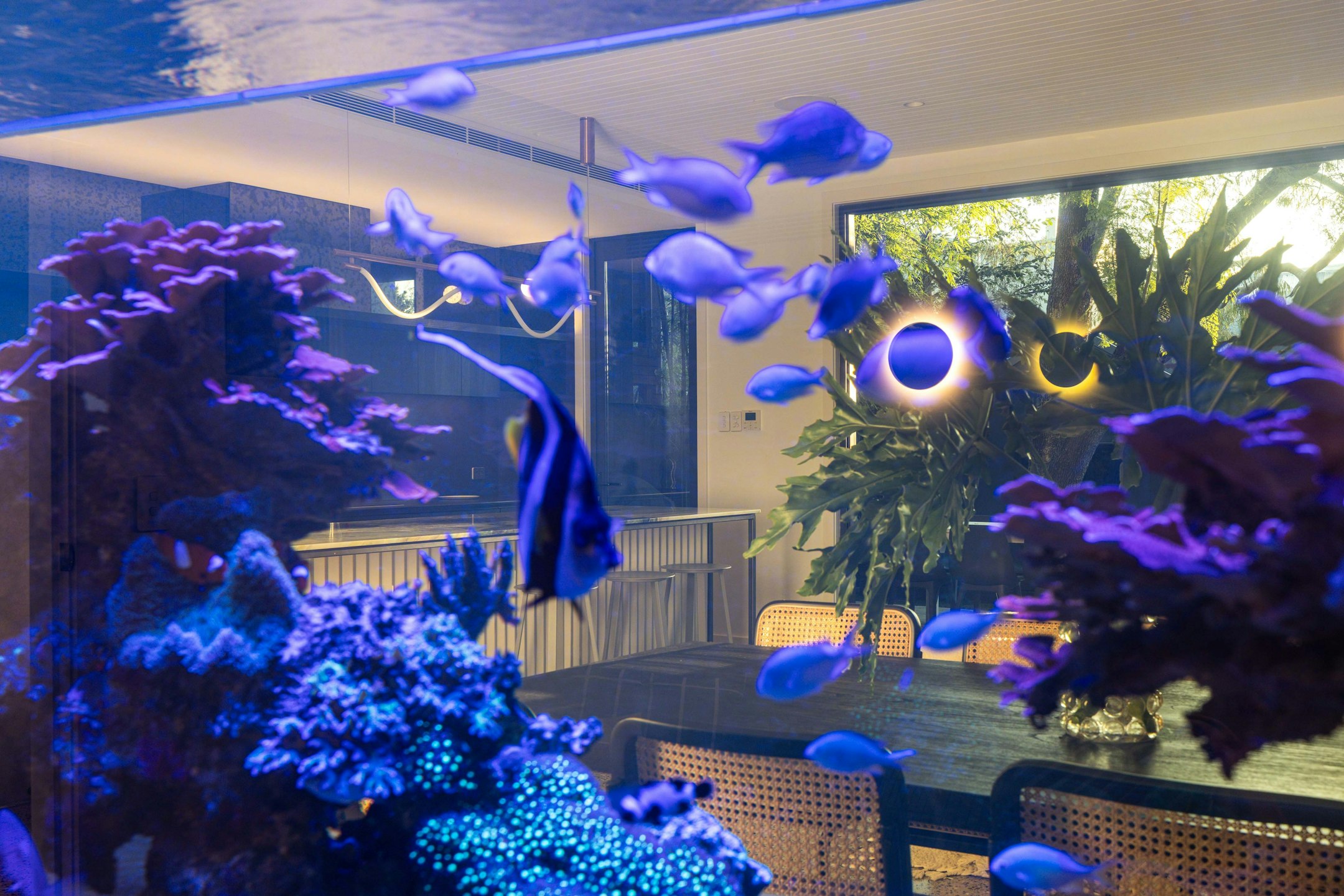 aquarium