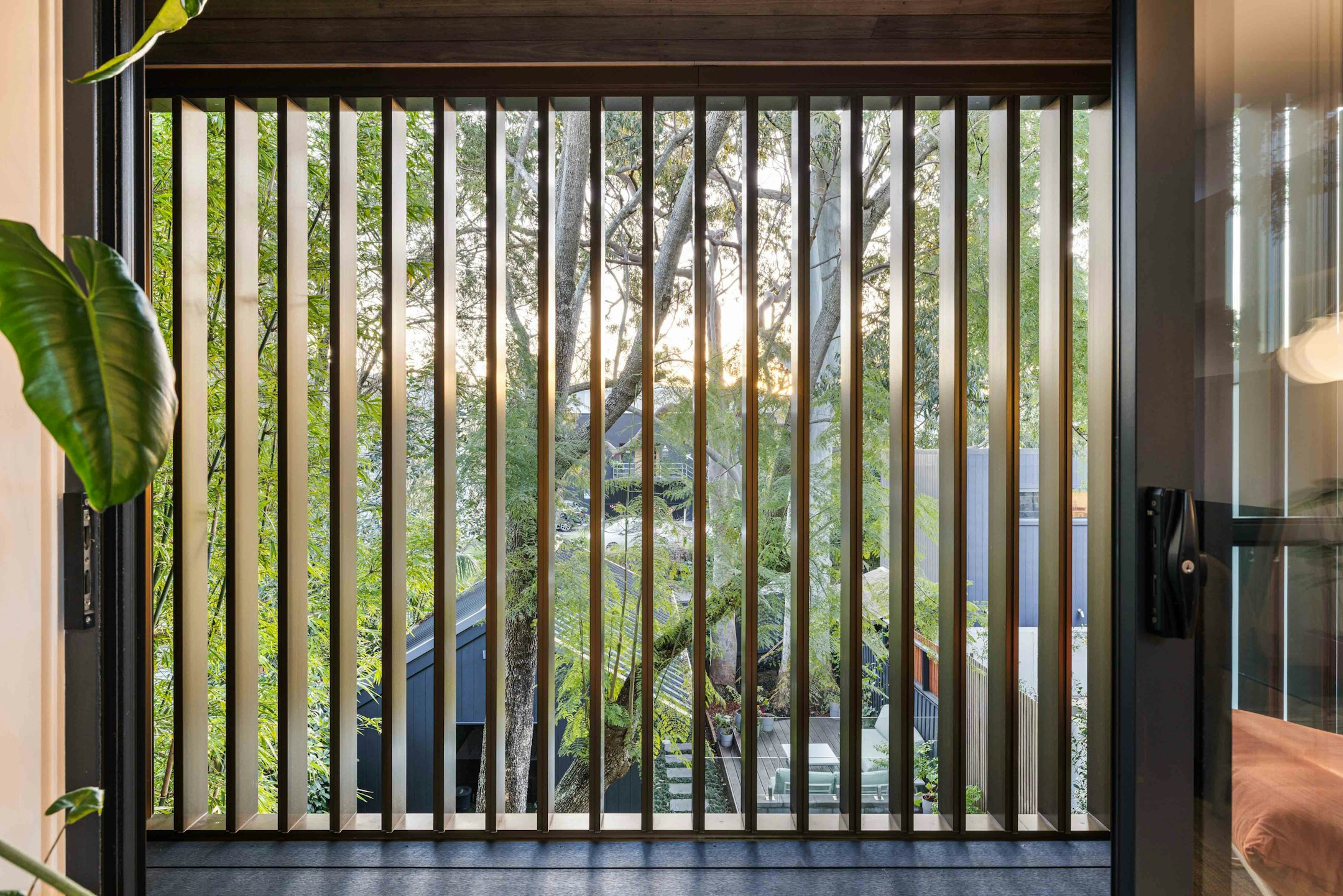 window