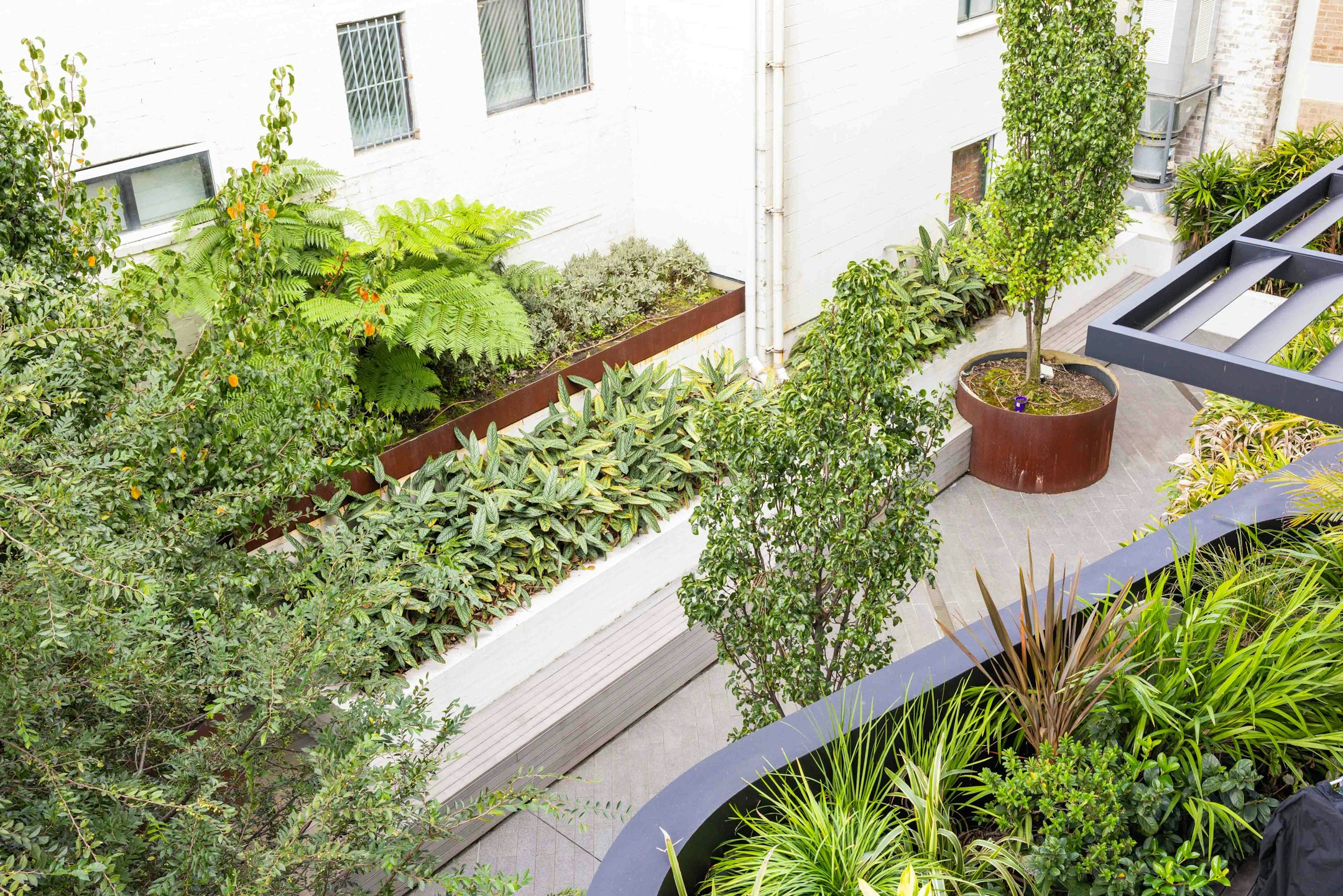 garden
