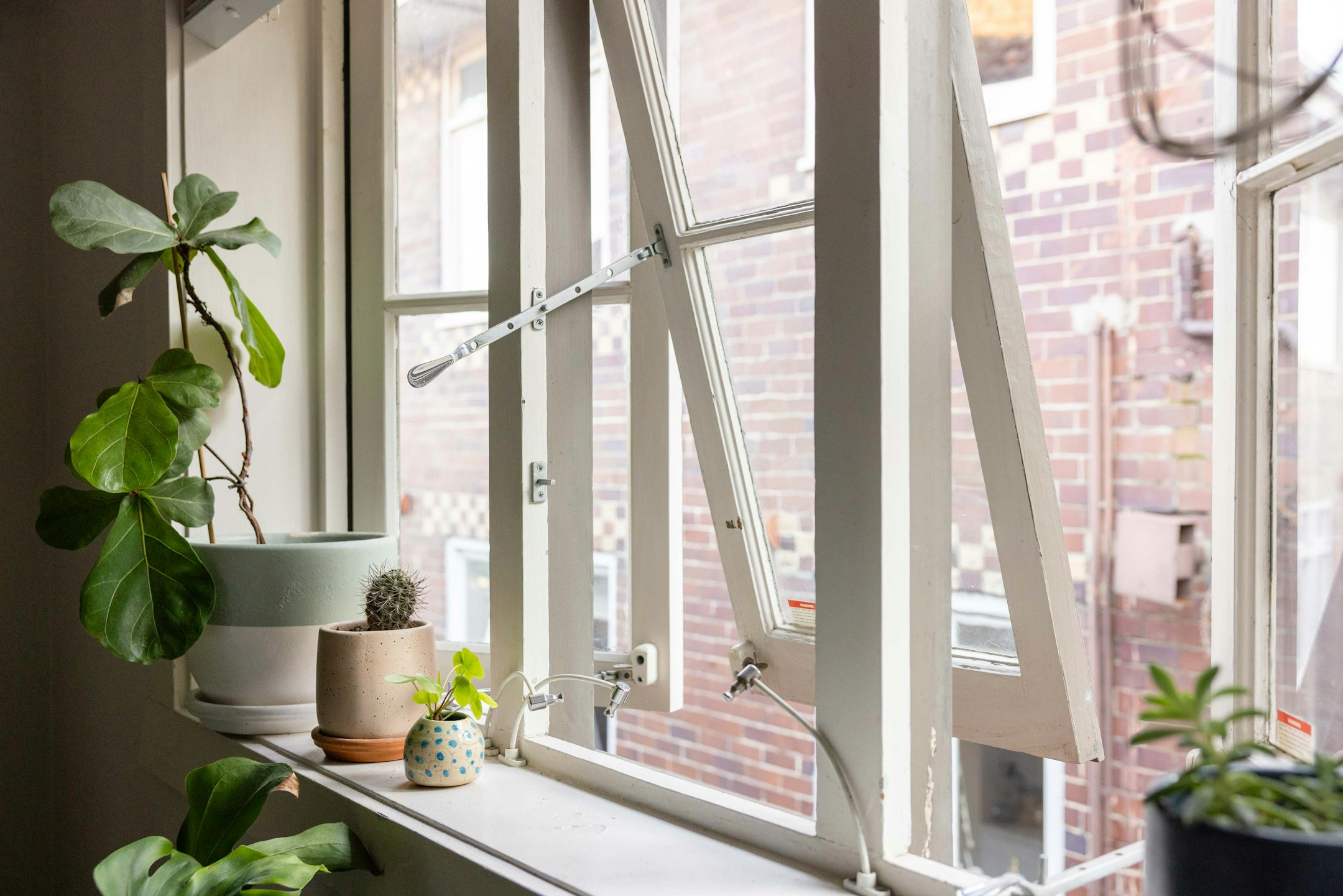 window