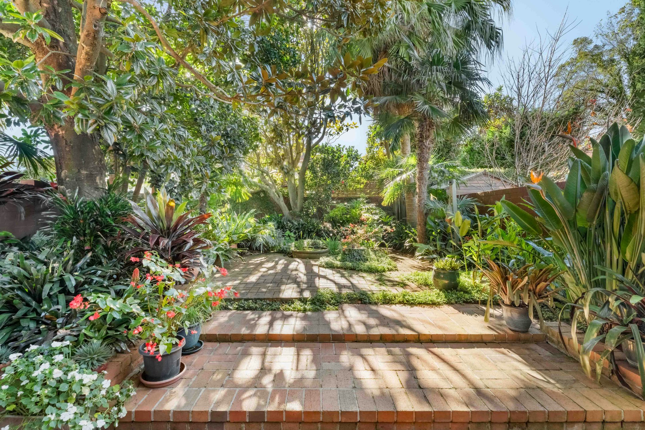 garden