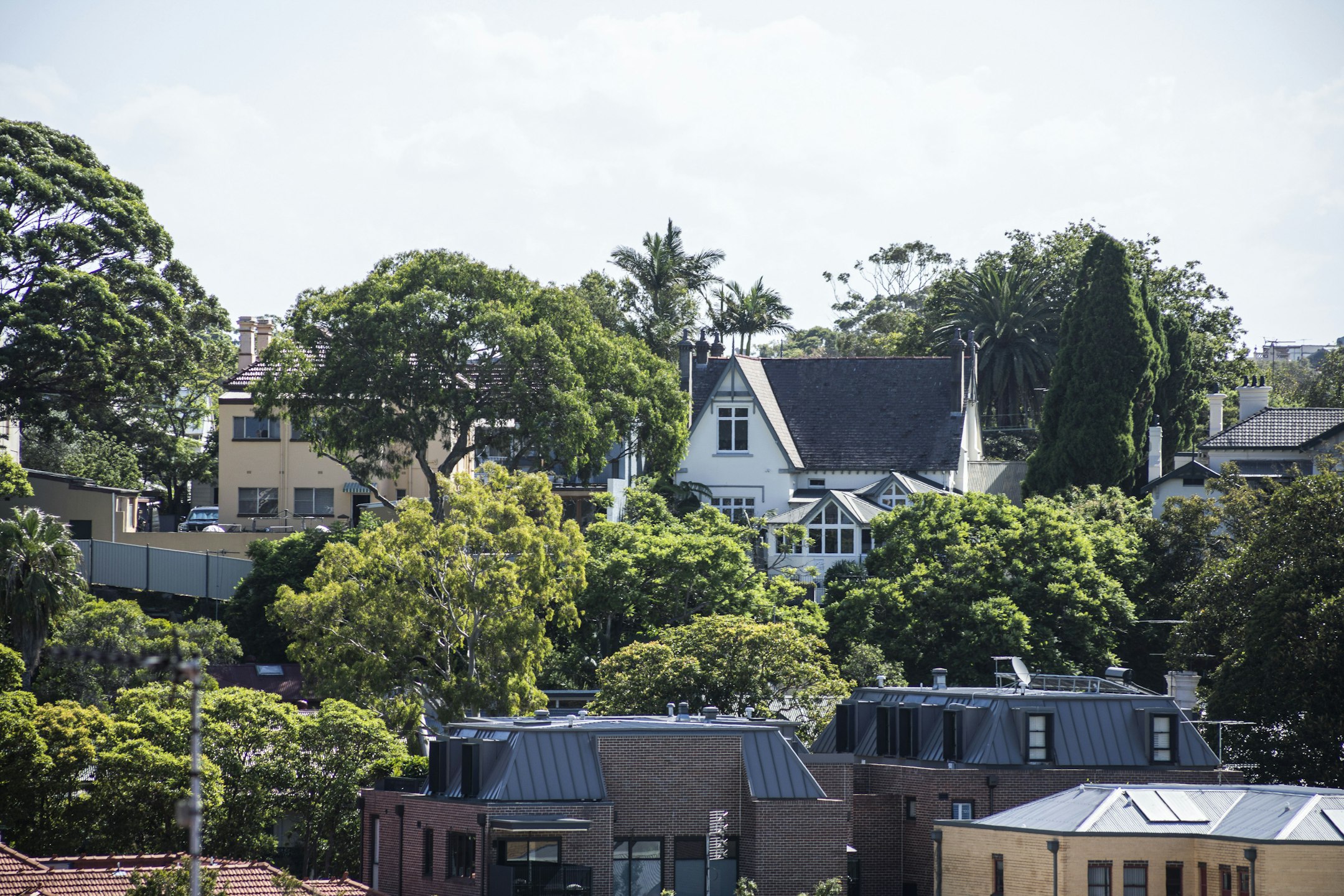 neighborhood