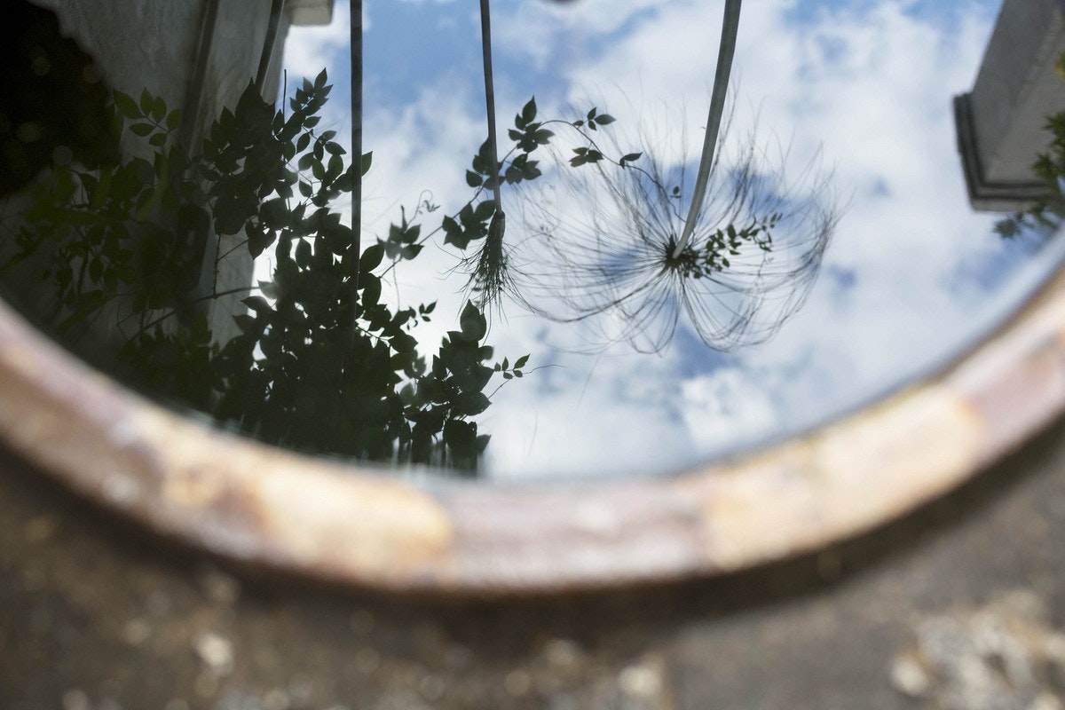window
