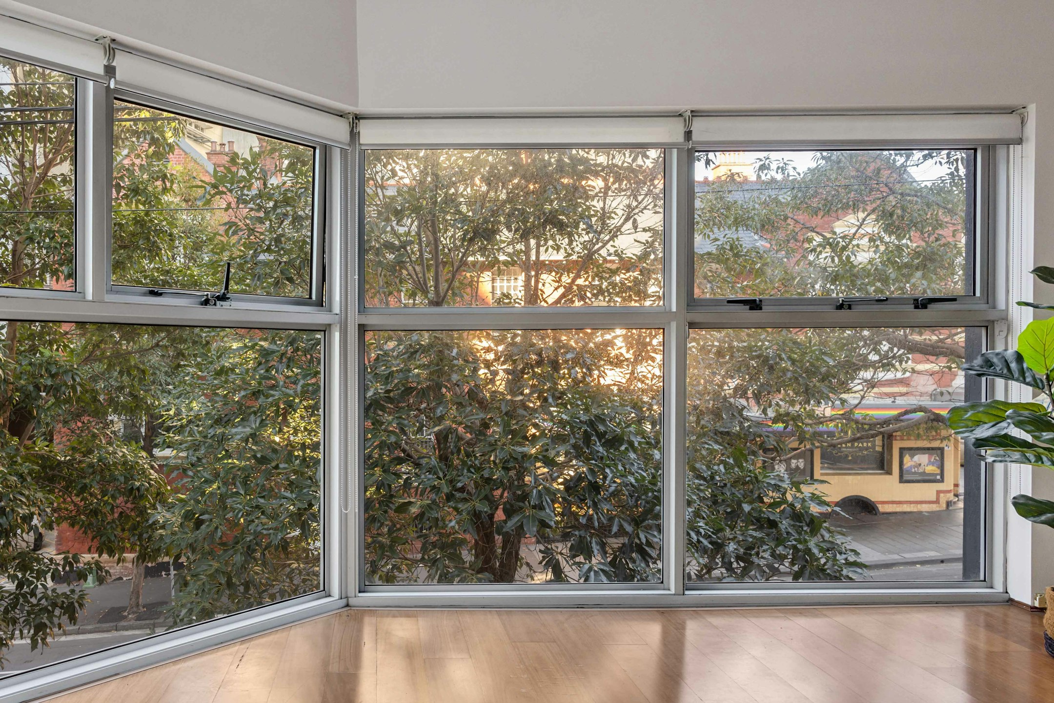 window
