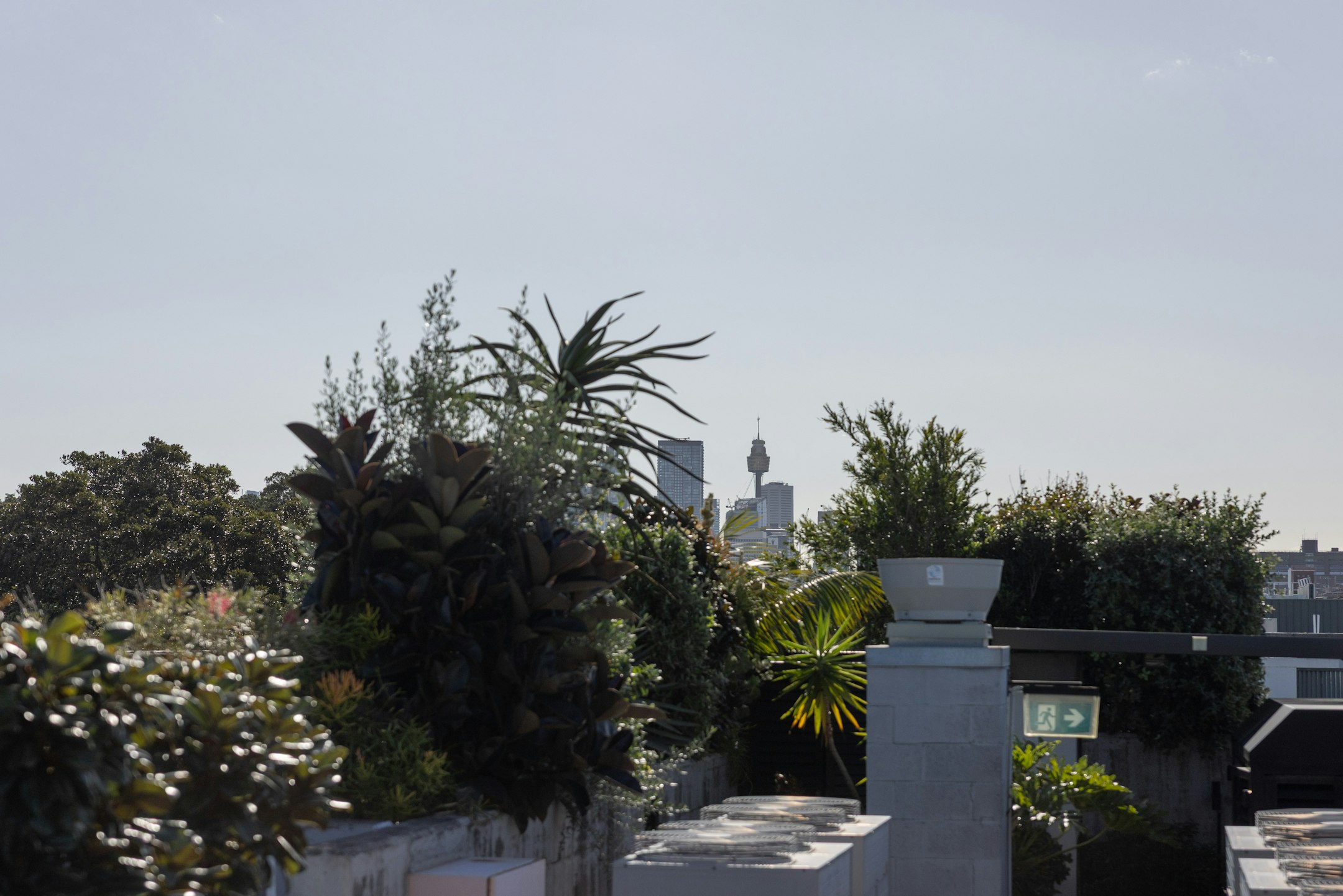 graveyard