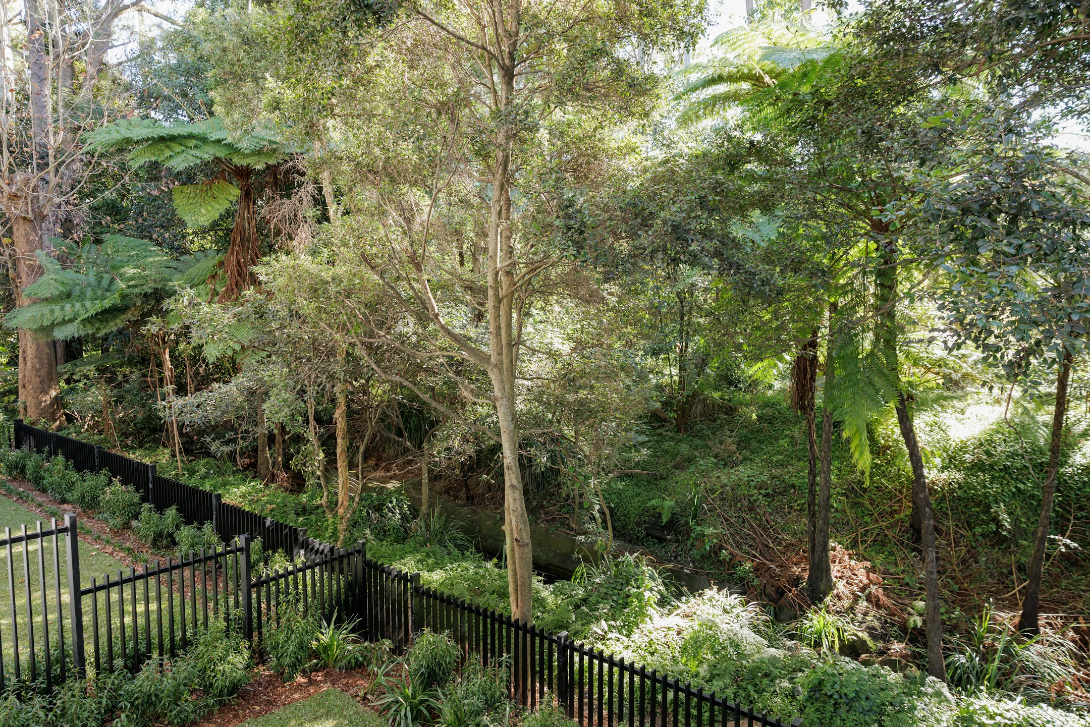vegetation
