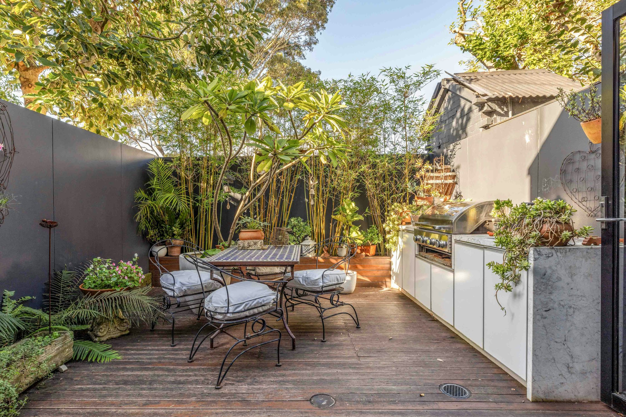 backyard