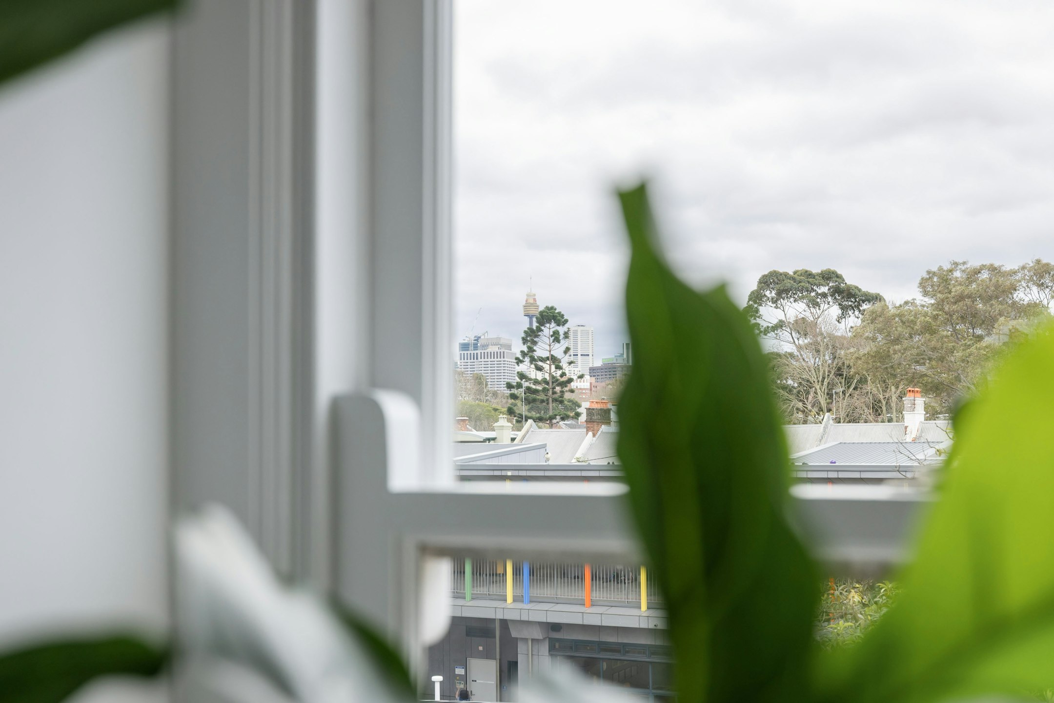 window