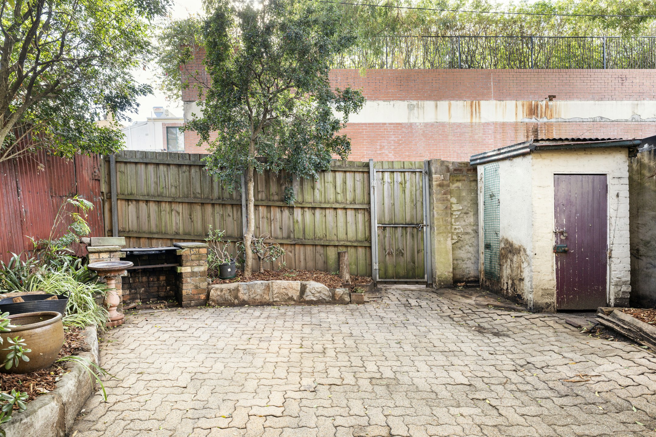 backyard