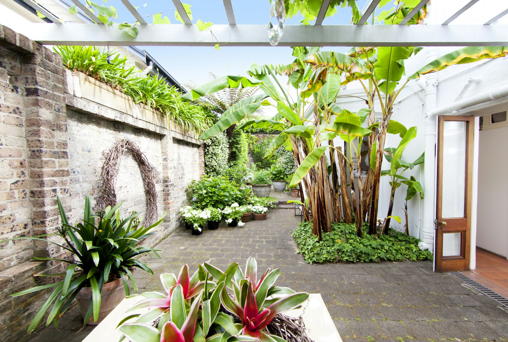 garden