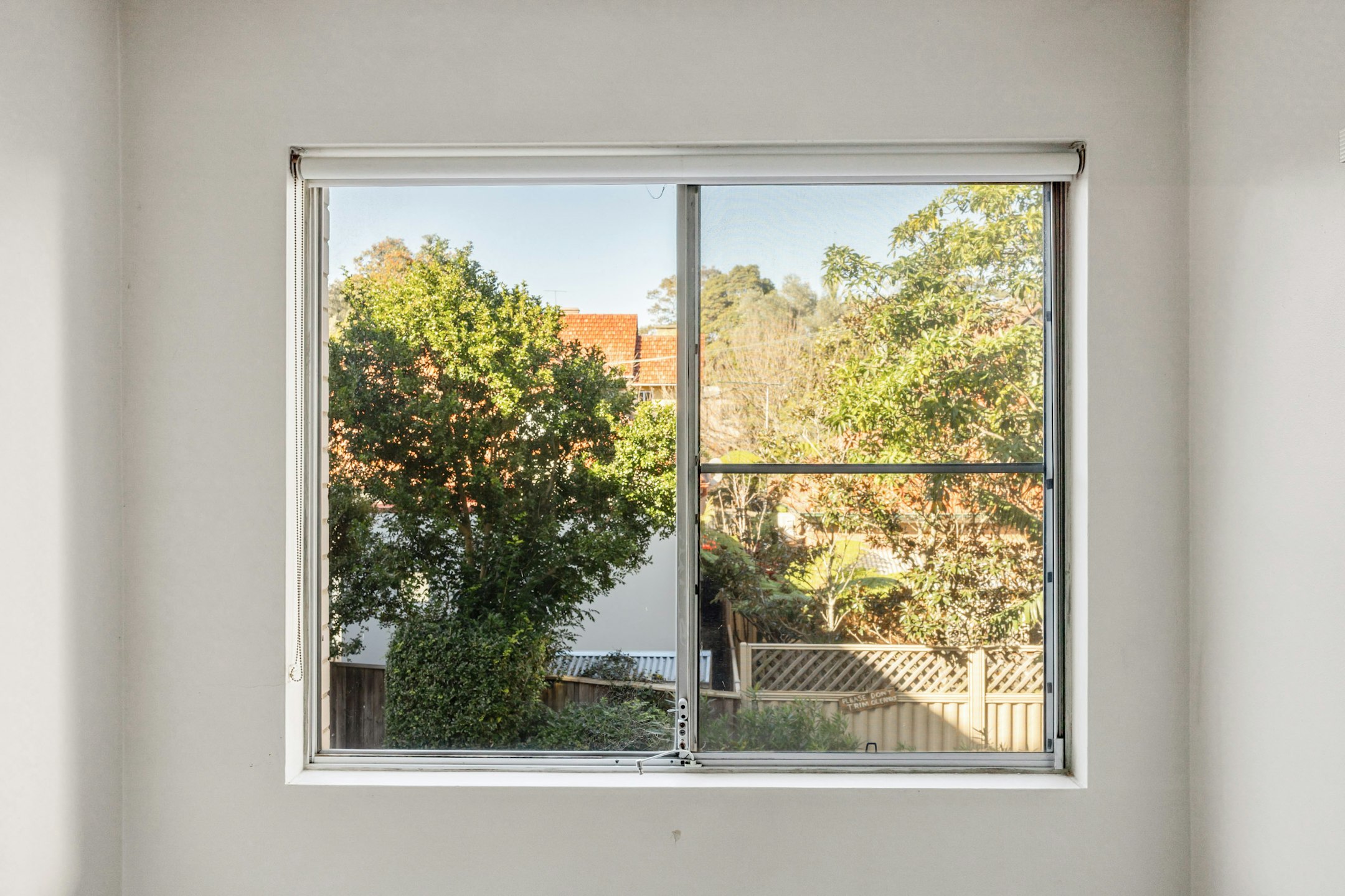 window