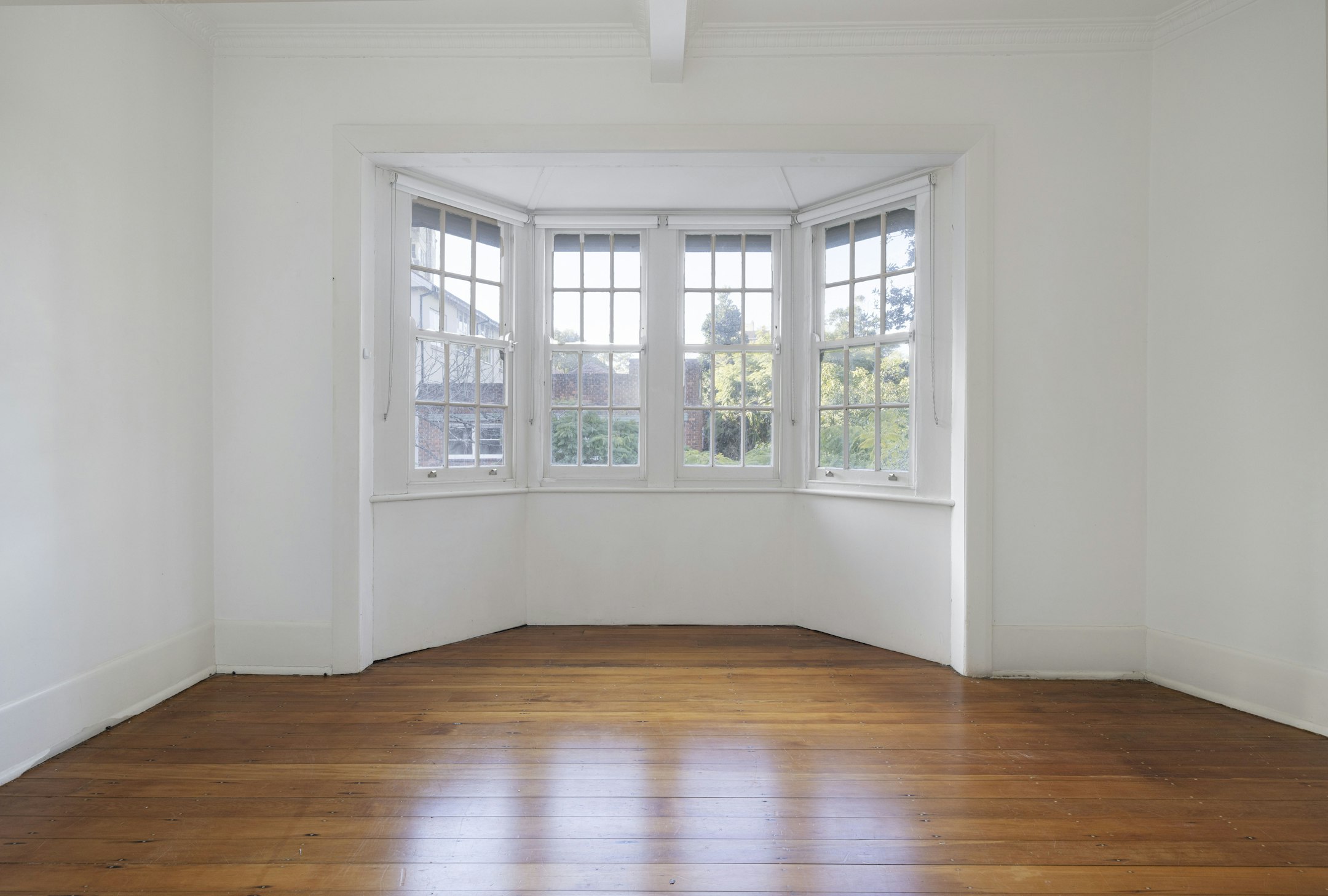 window