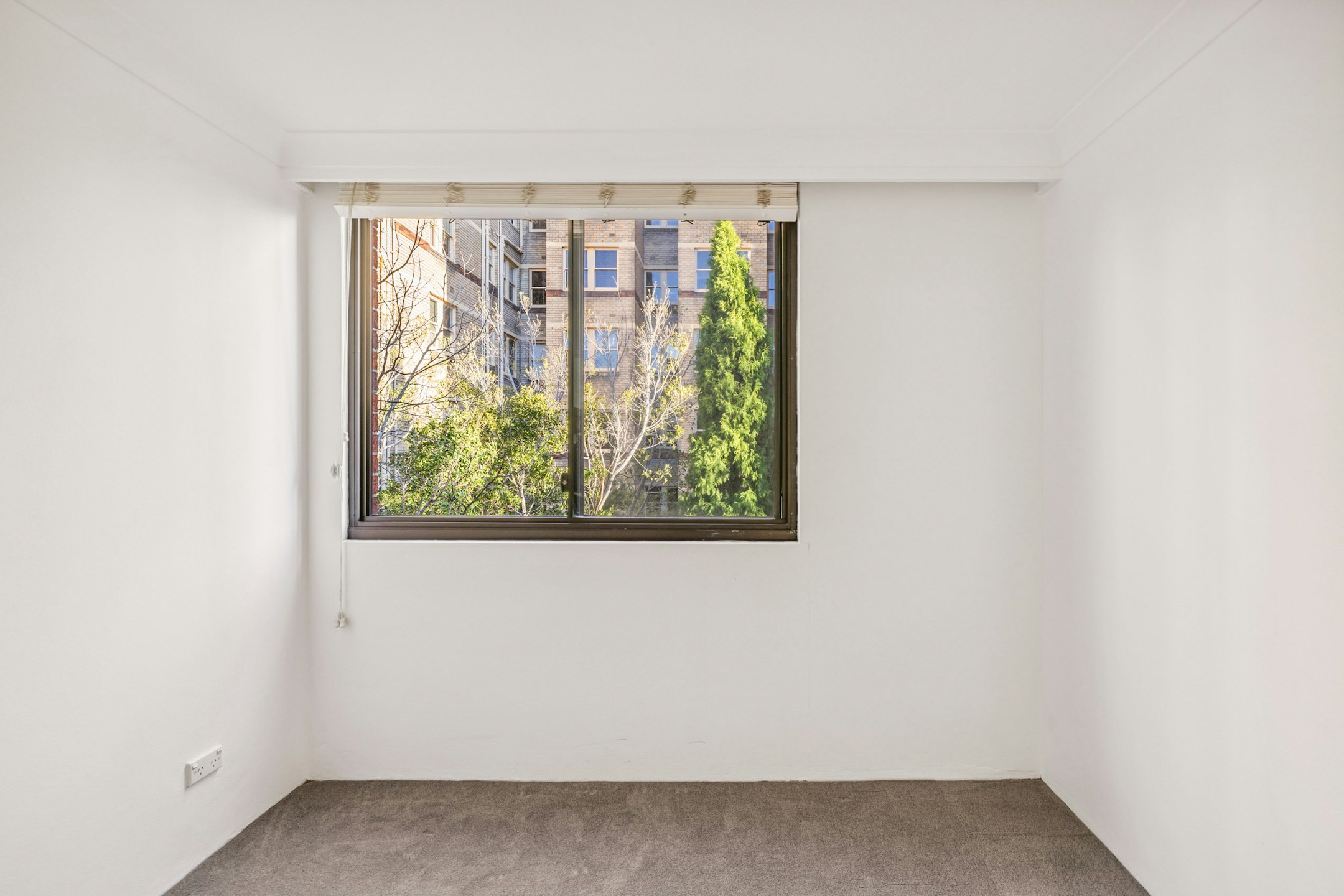 window