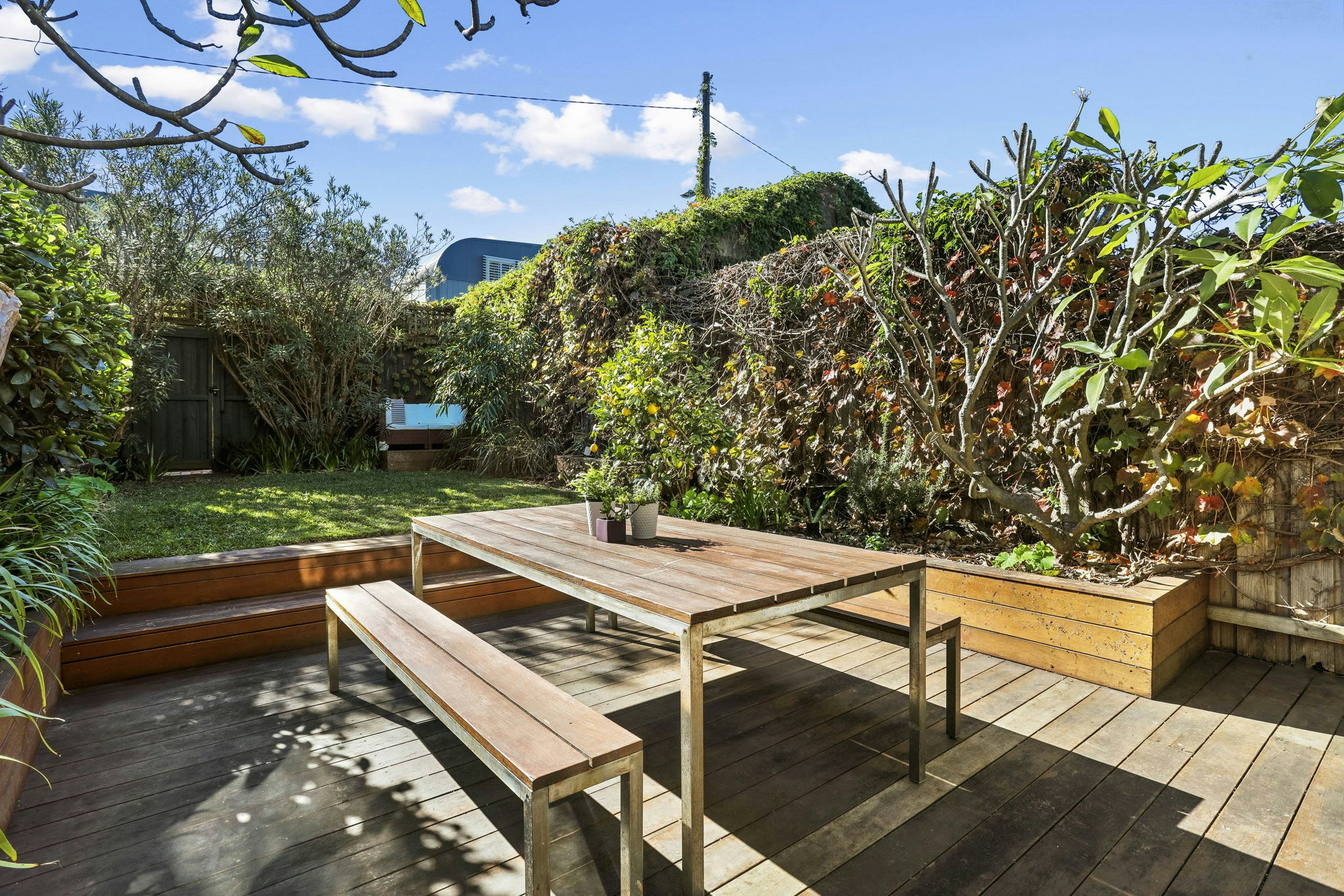 backyard