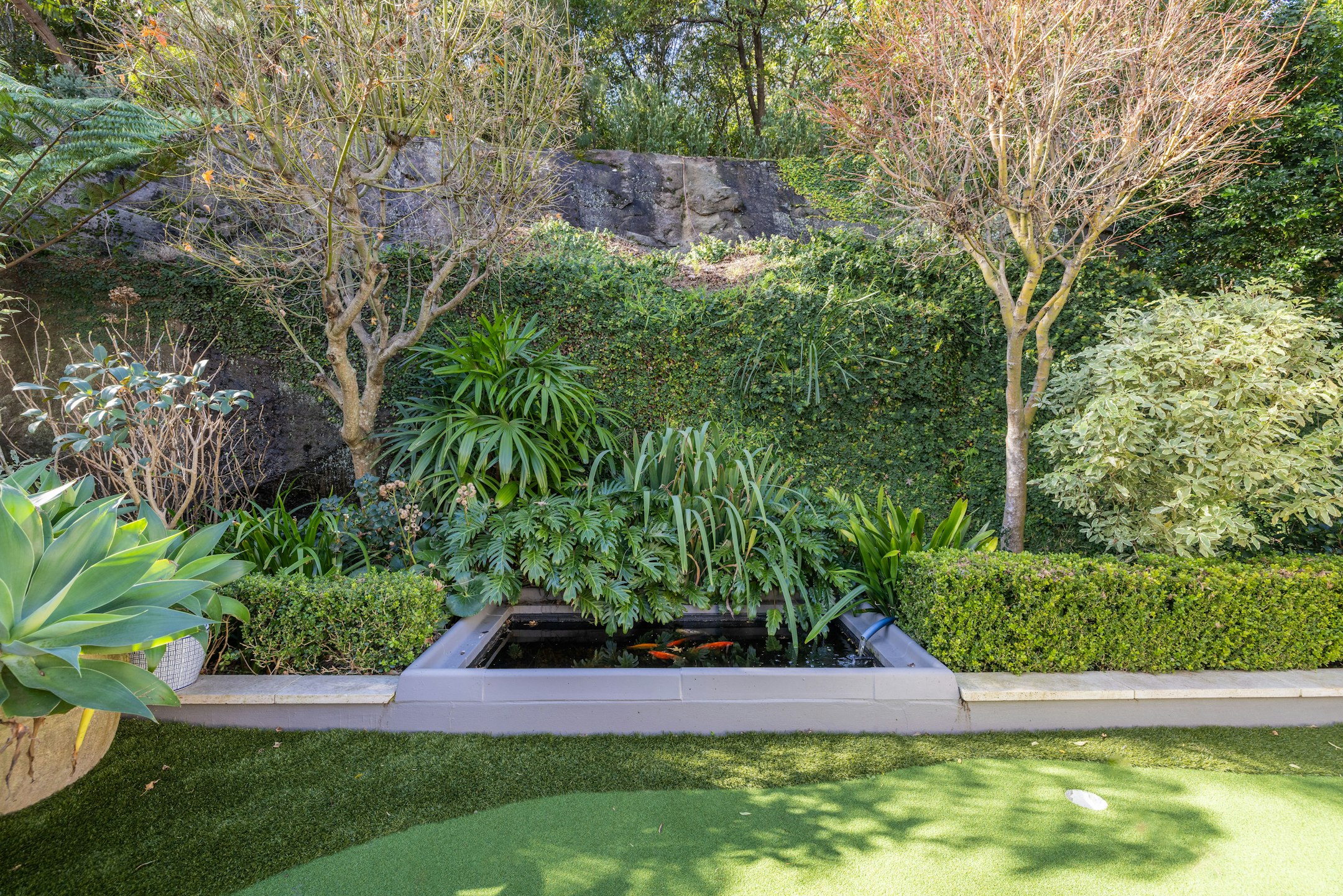 garden