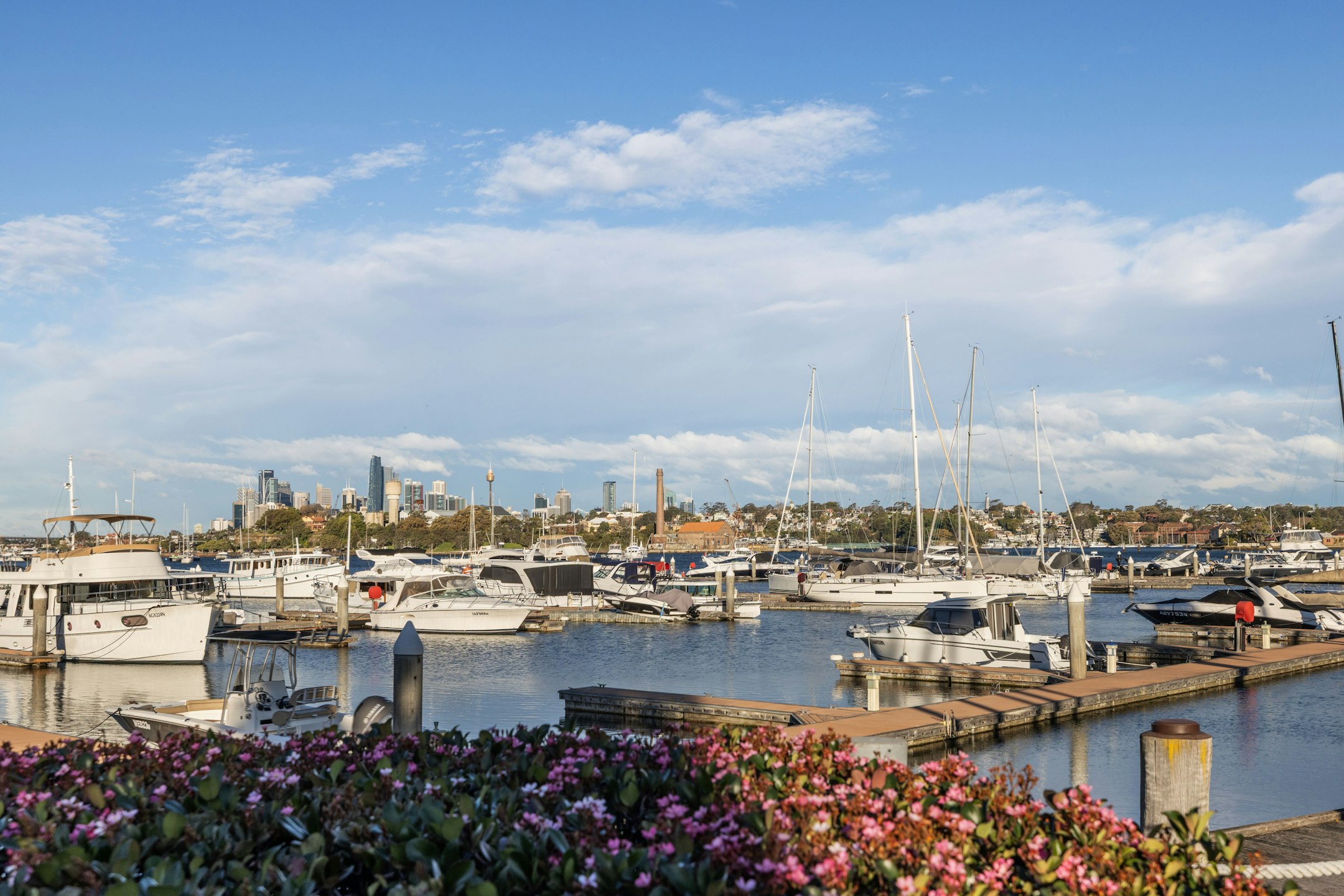 harbor