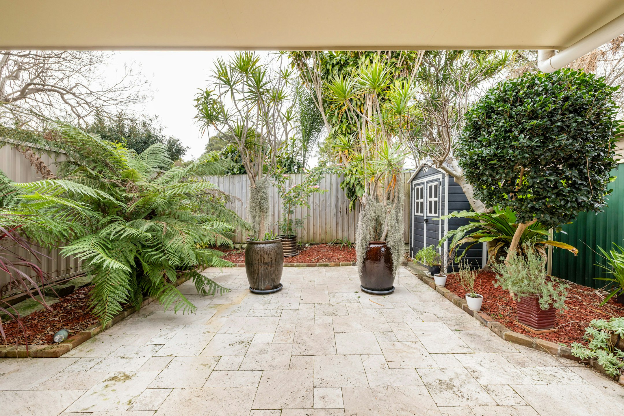 backyard
