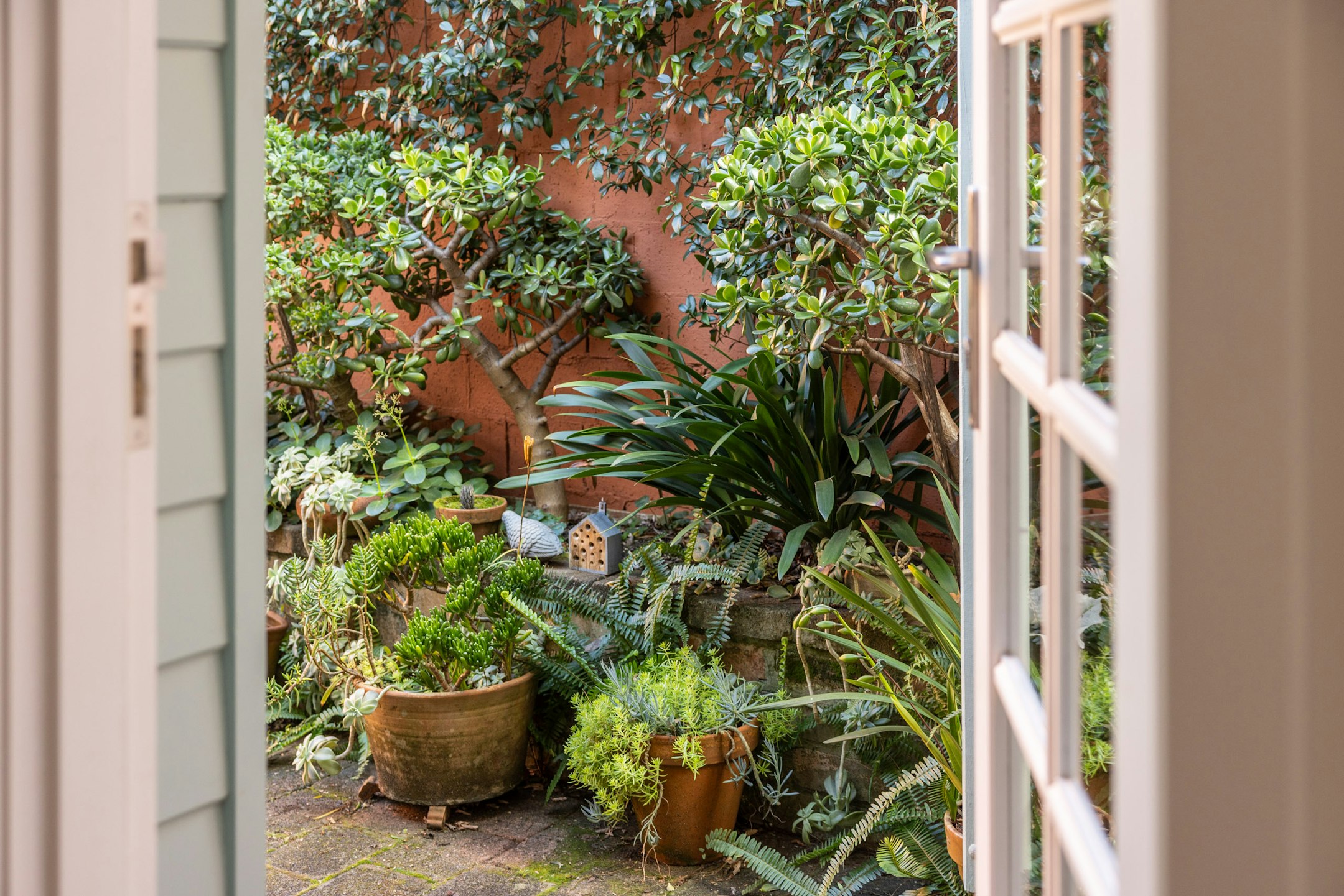 garden