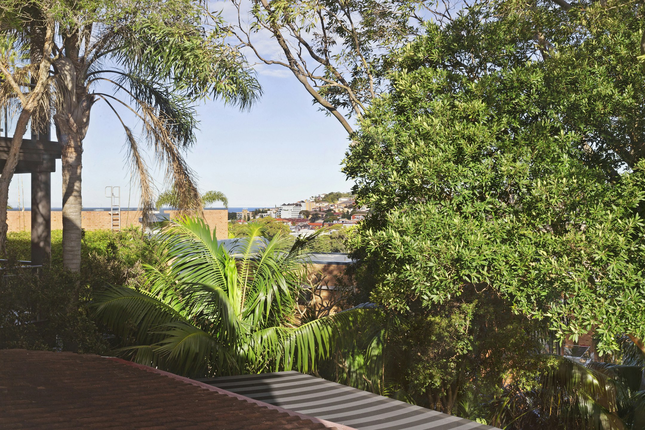 vegetation