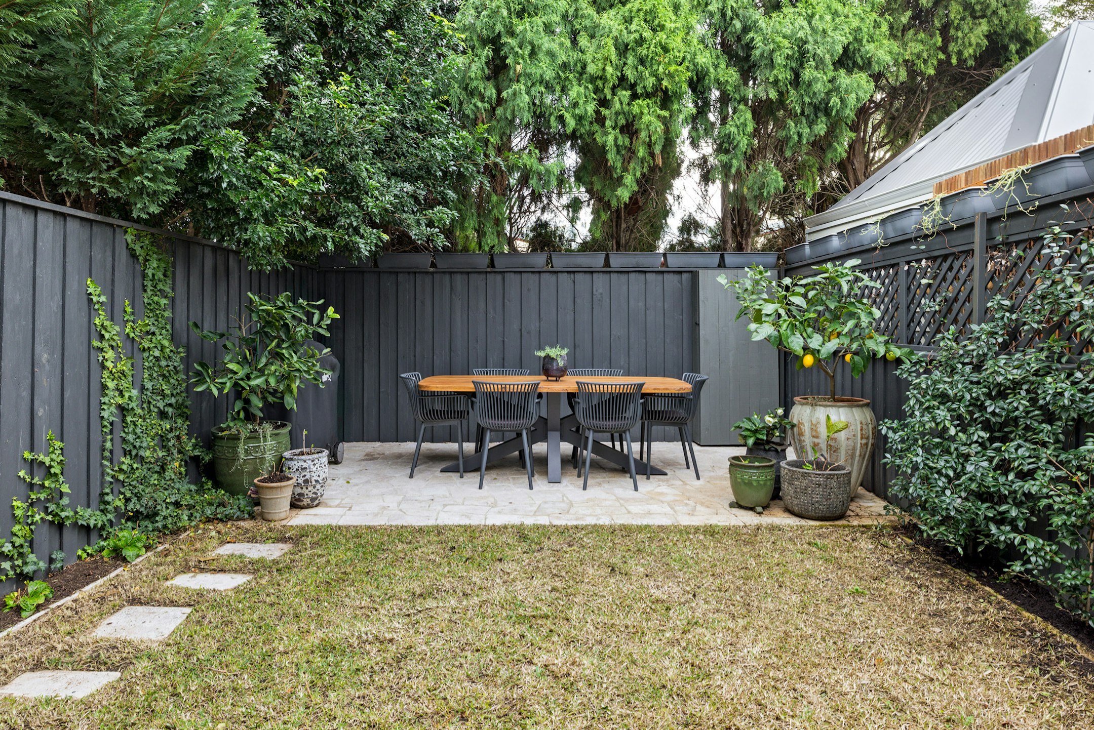 backyard