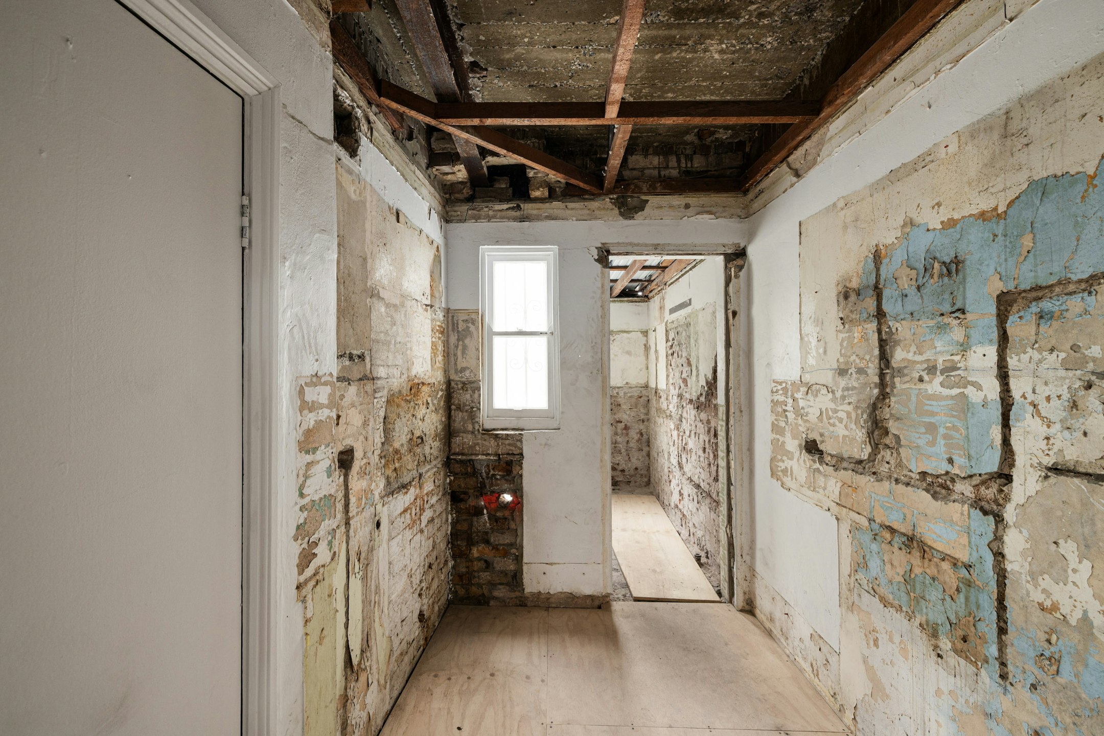 mold