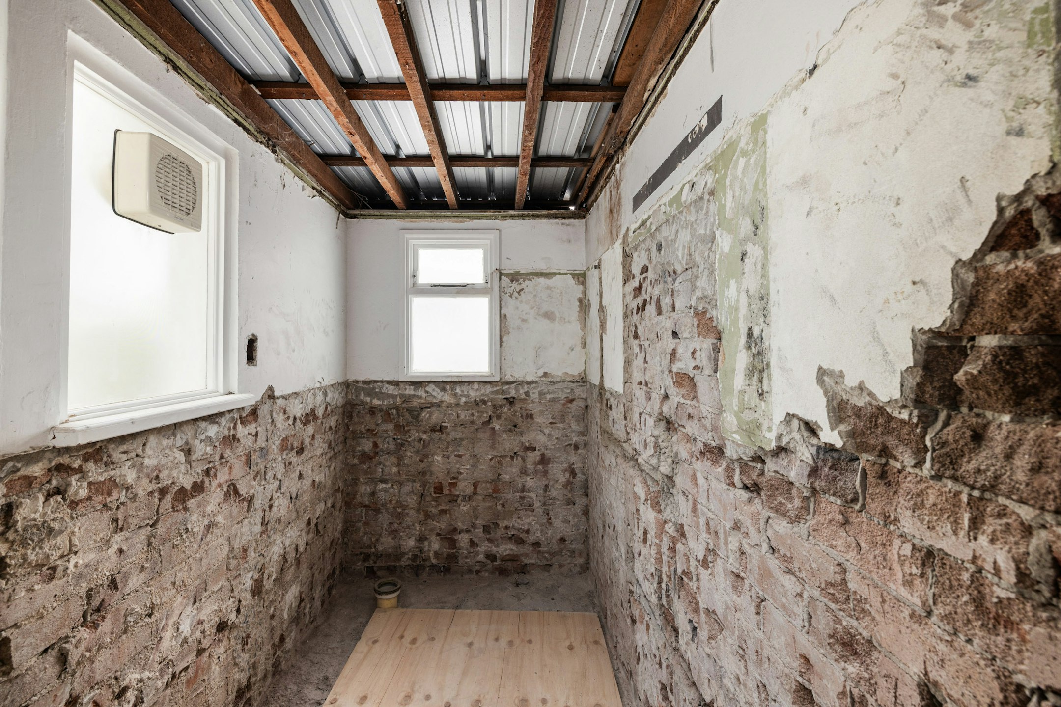 mold