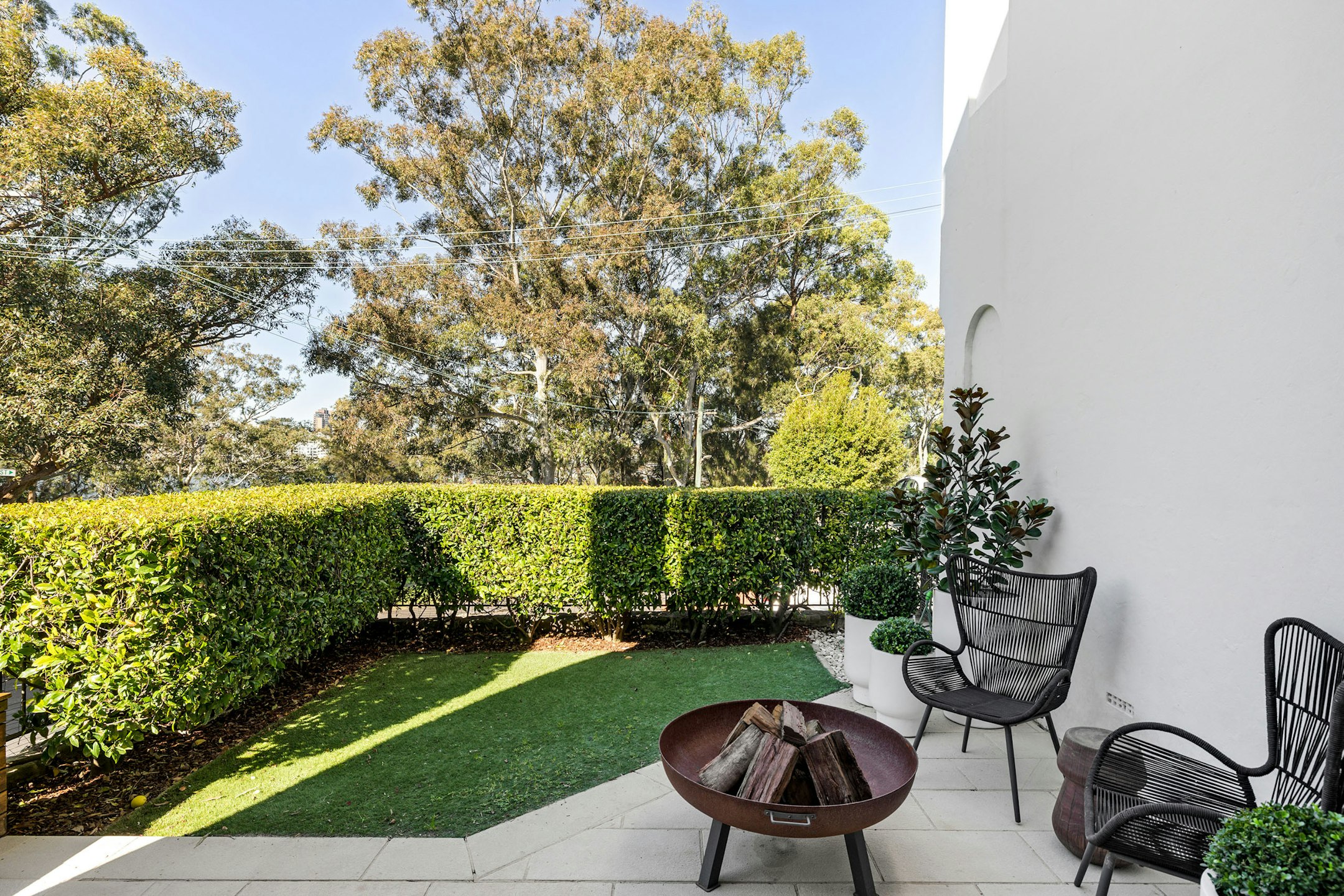 backyard