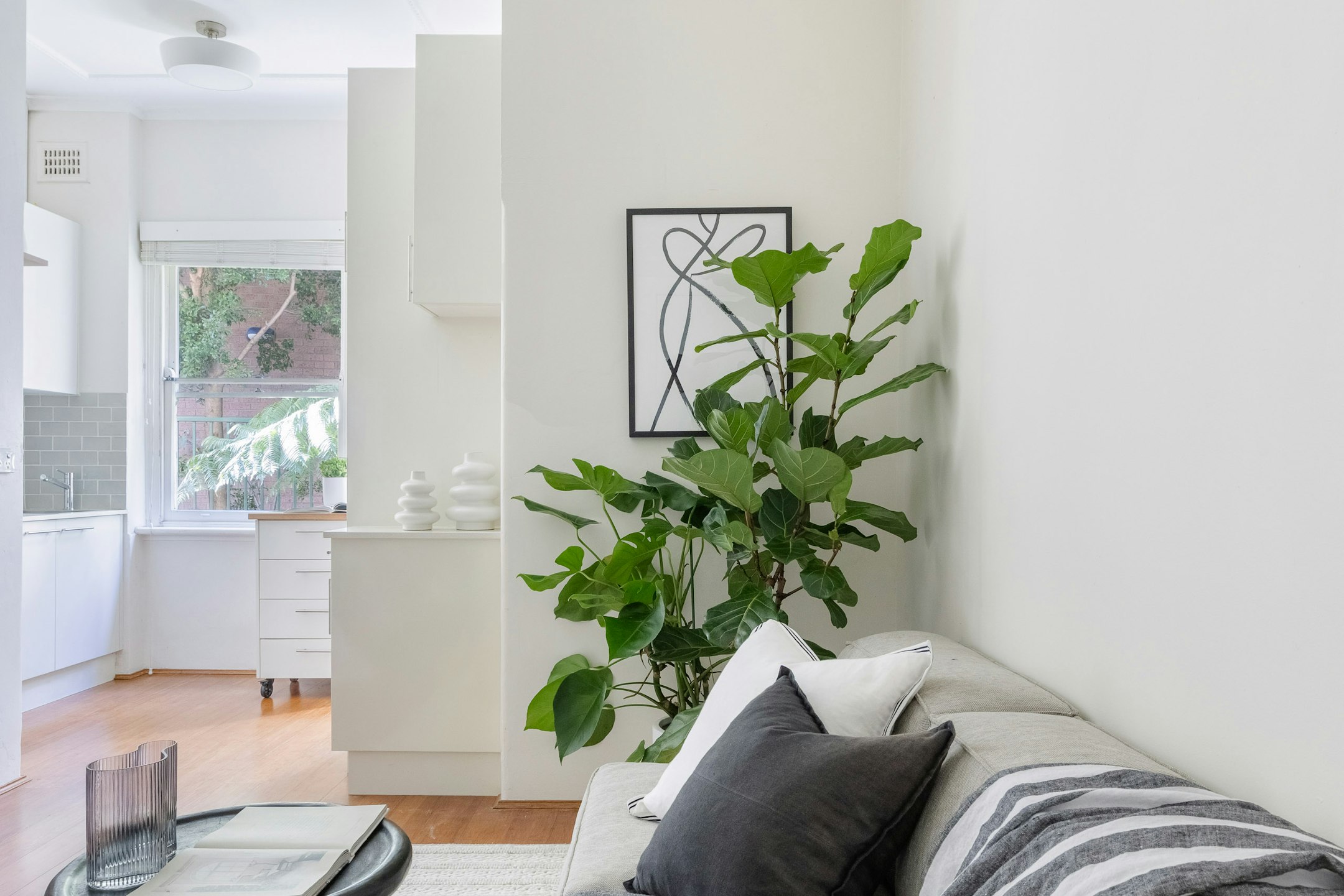 plant
