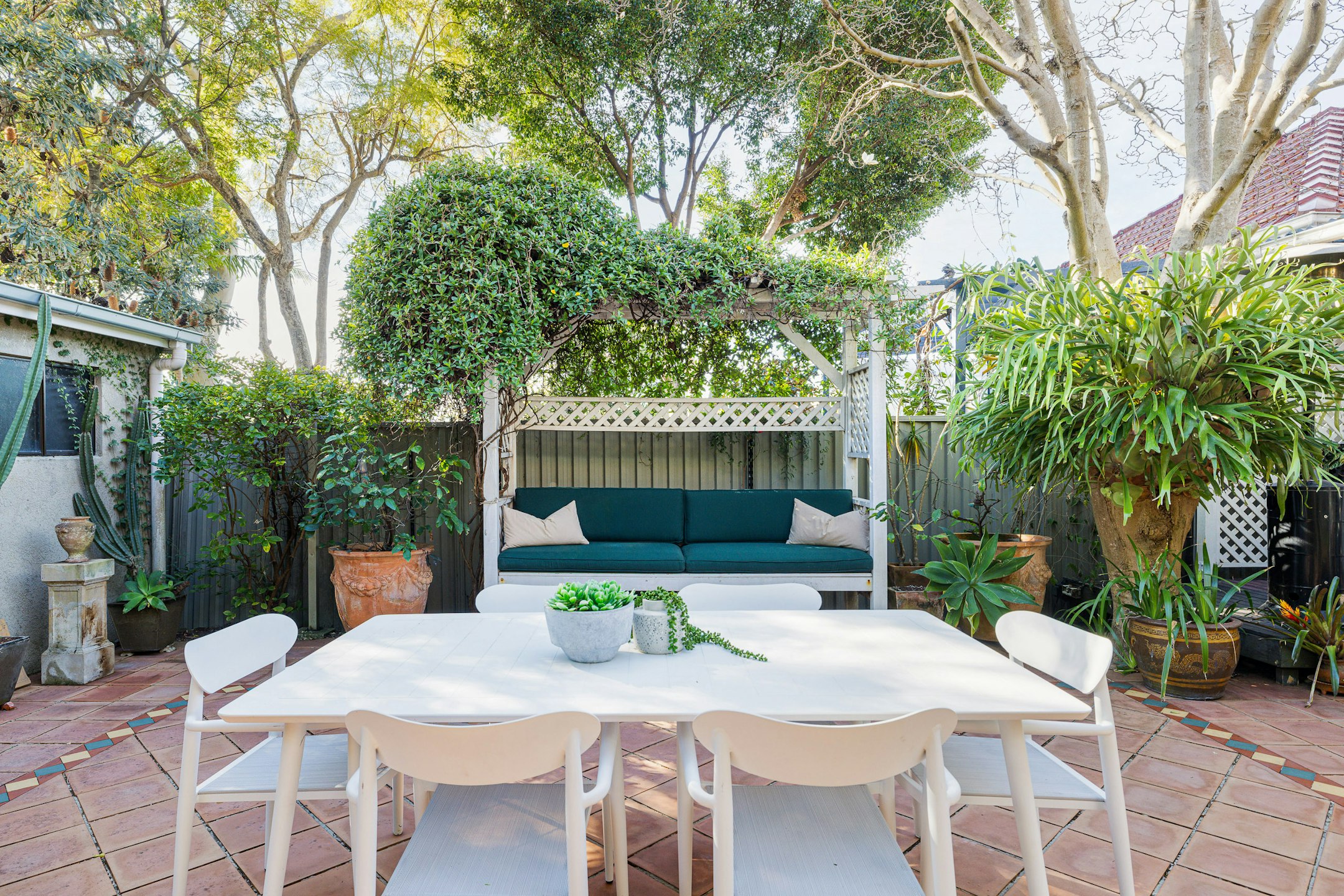 backyard